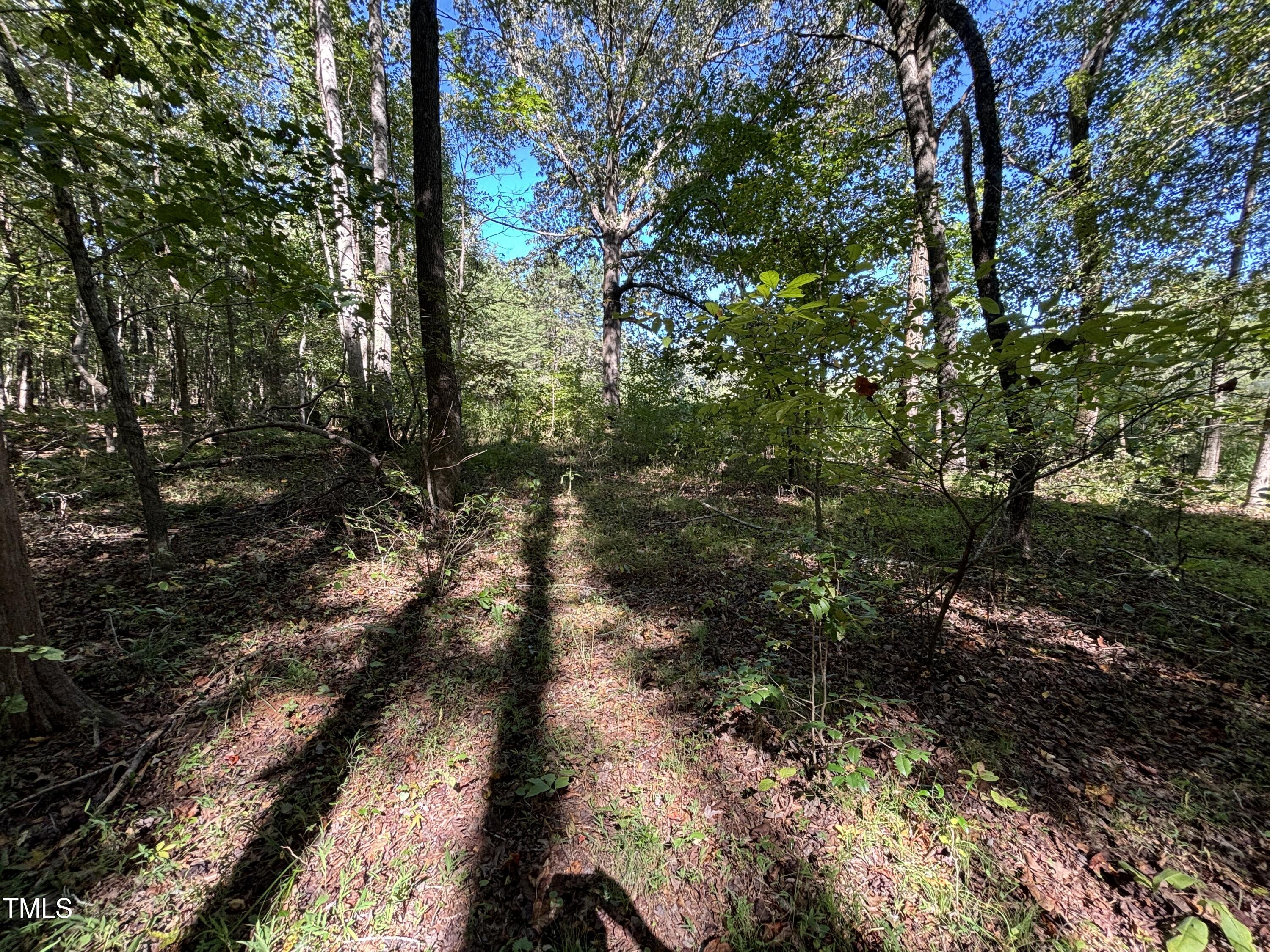 6784 Bradshaw Farm Road