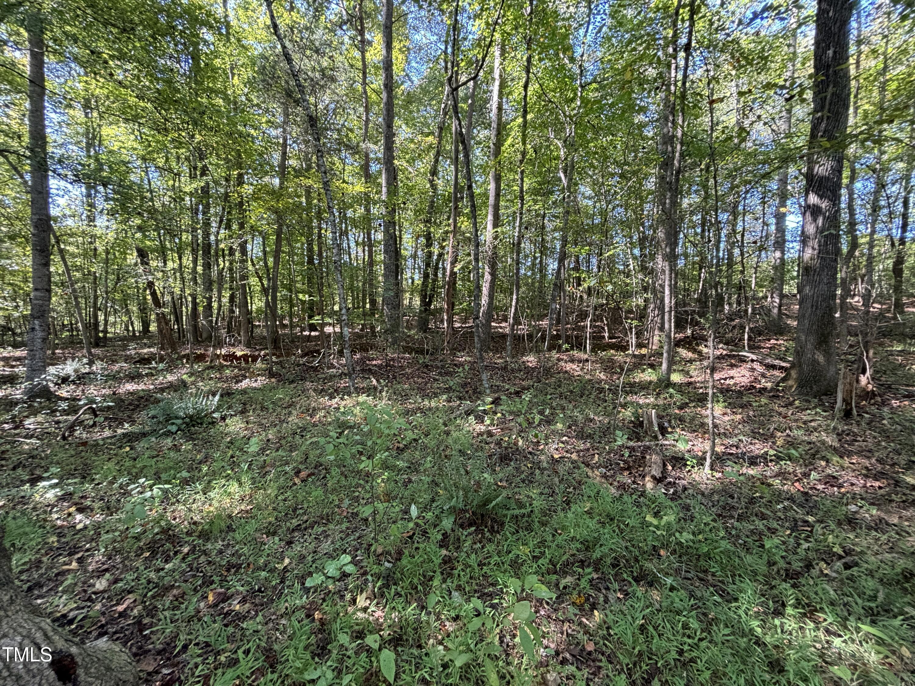 6784 Bradshaw Farm Road