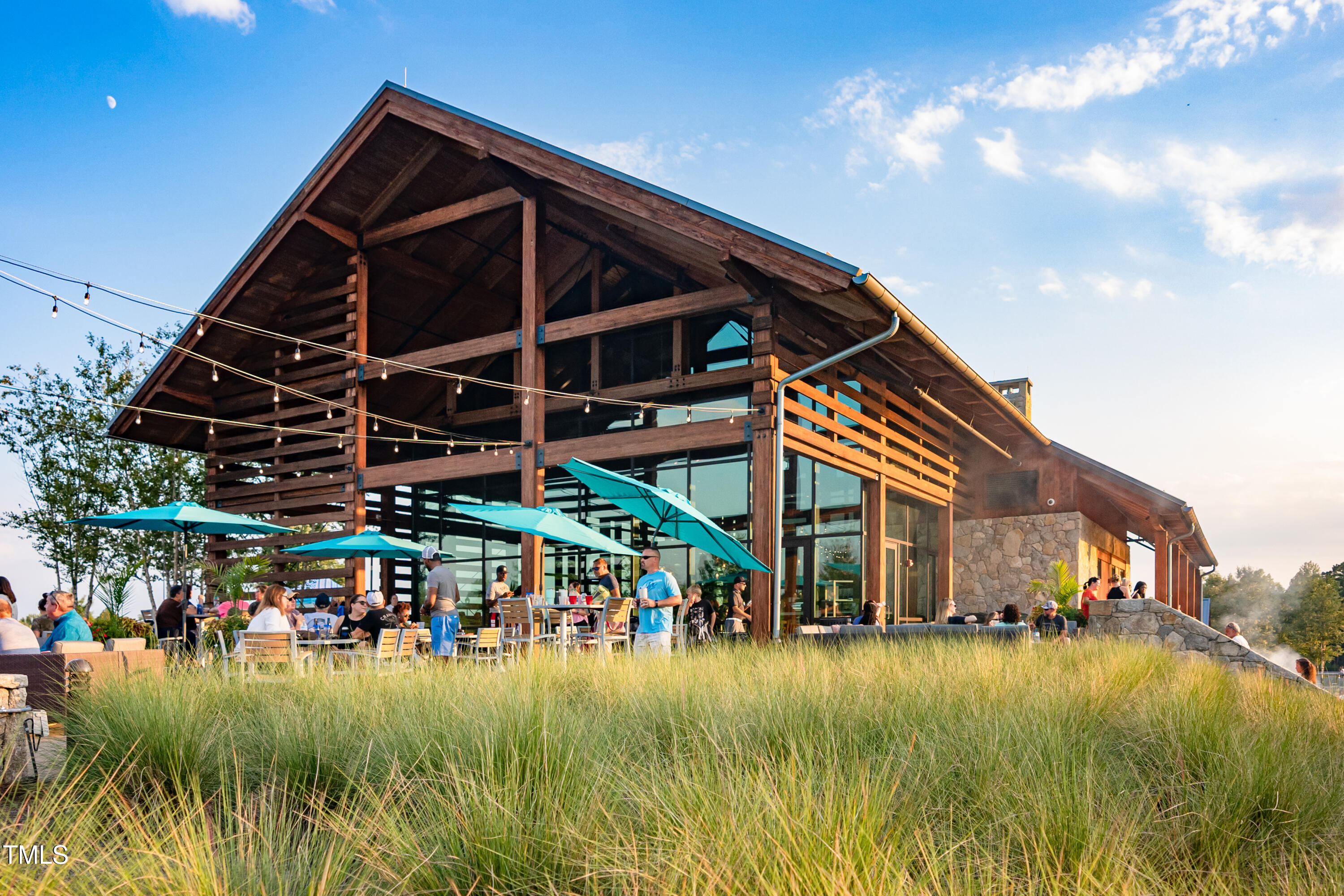 1705 Grassy Falls Lane