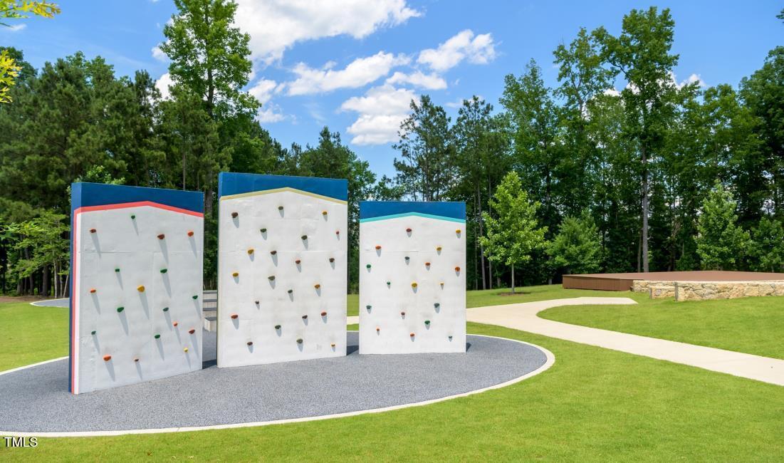 1705 Grassy Falls Lane