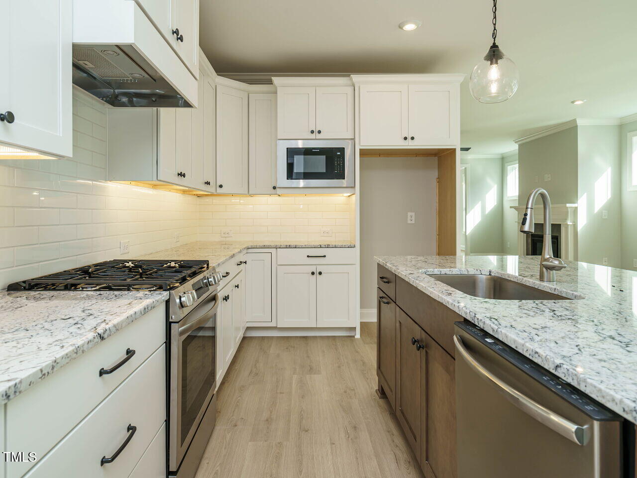 1705 Grassy Falls Lane