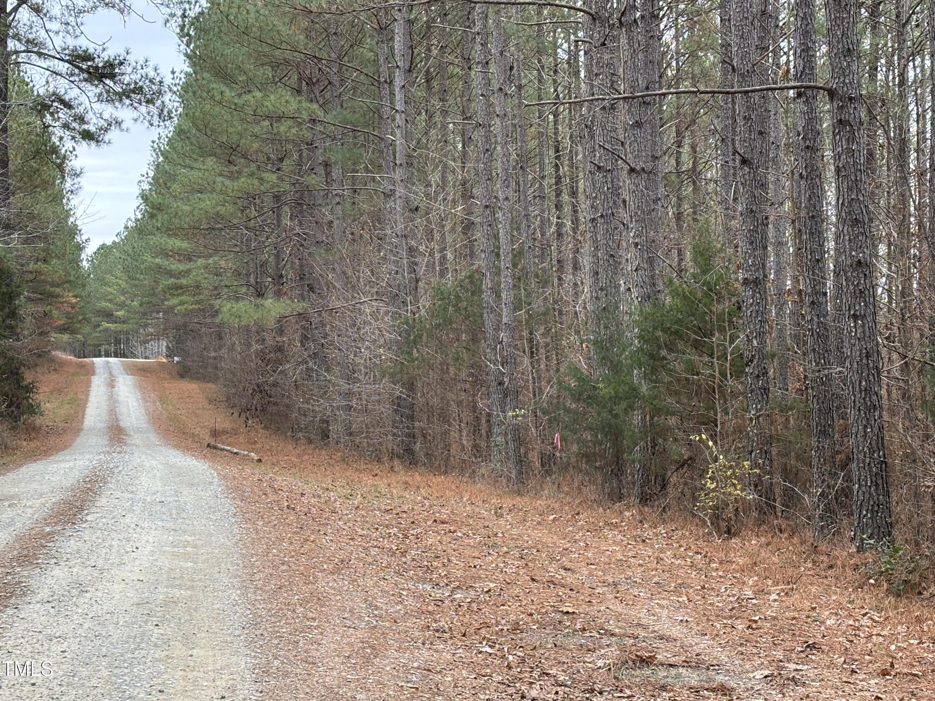 701 Mountain Creek Road