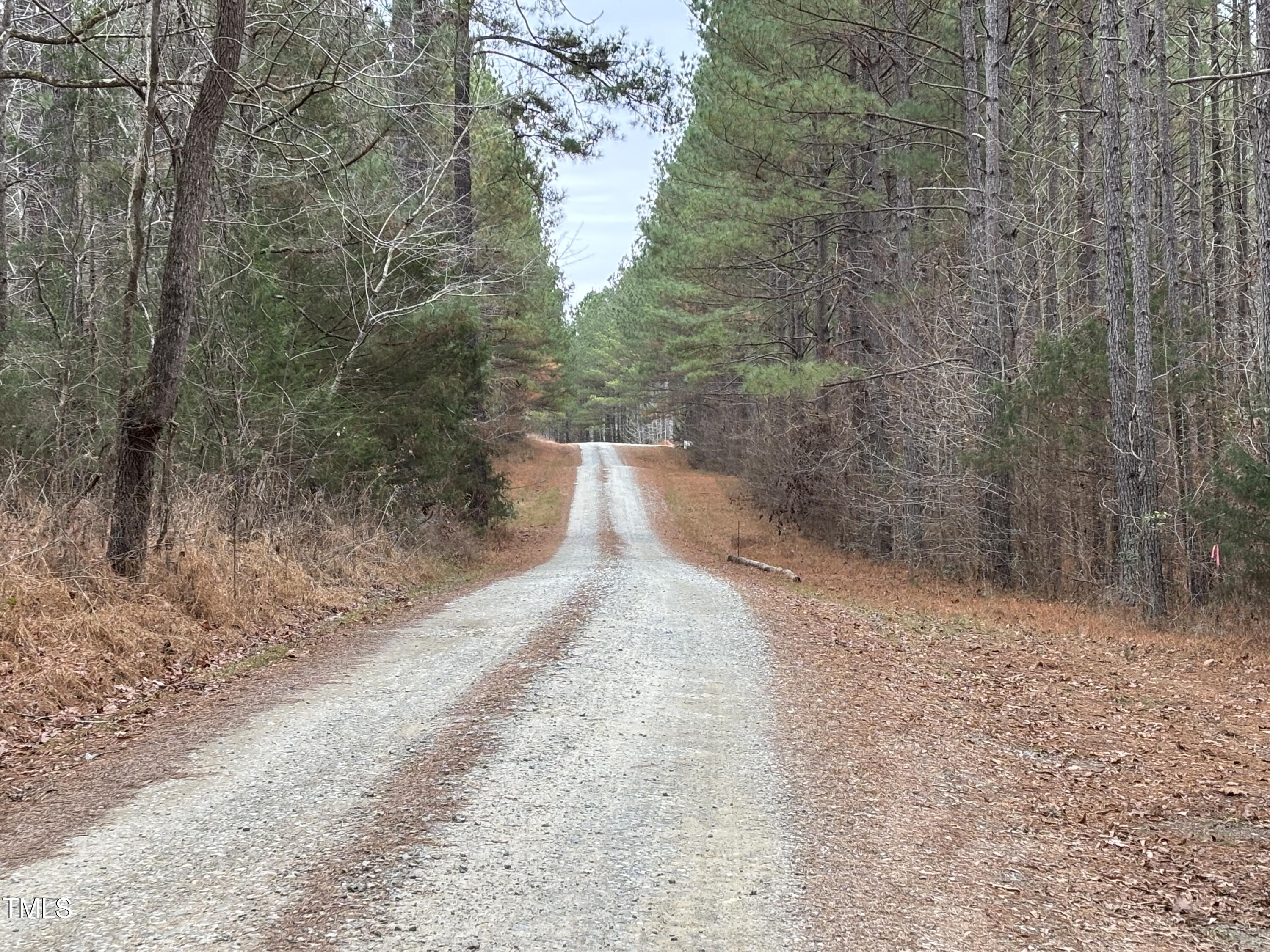 651 Mountain Creek Road