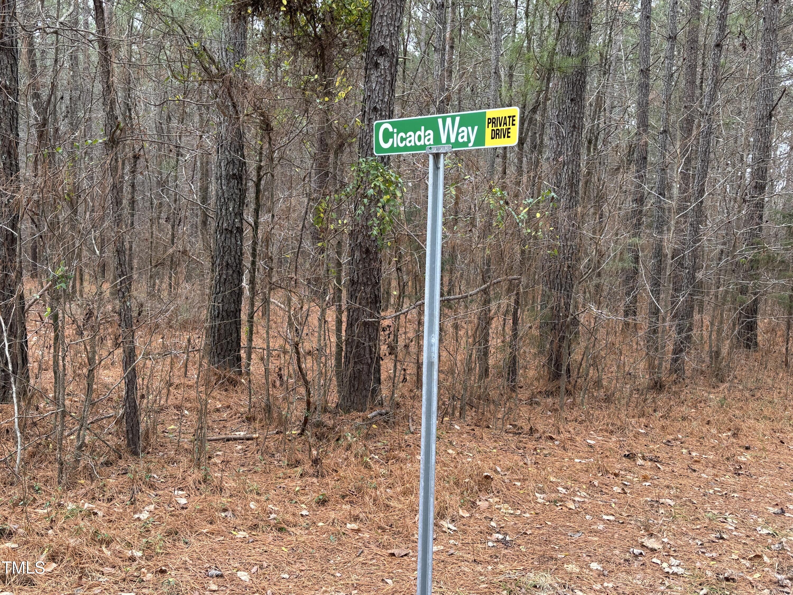 651 Mountain Creek Road