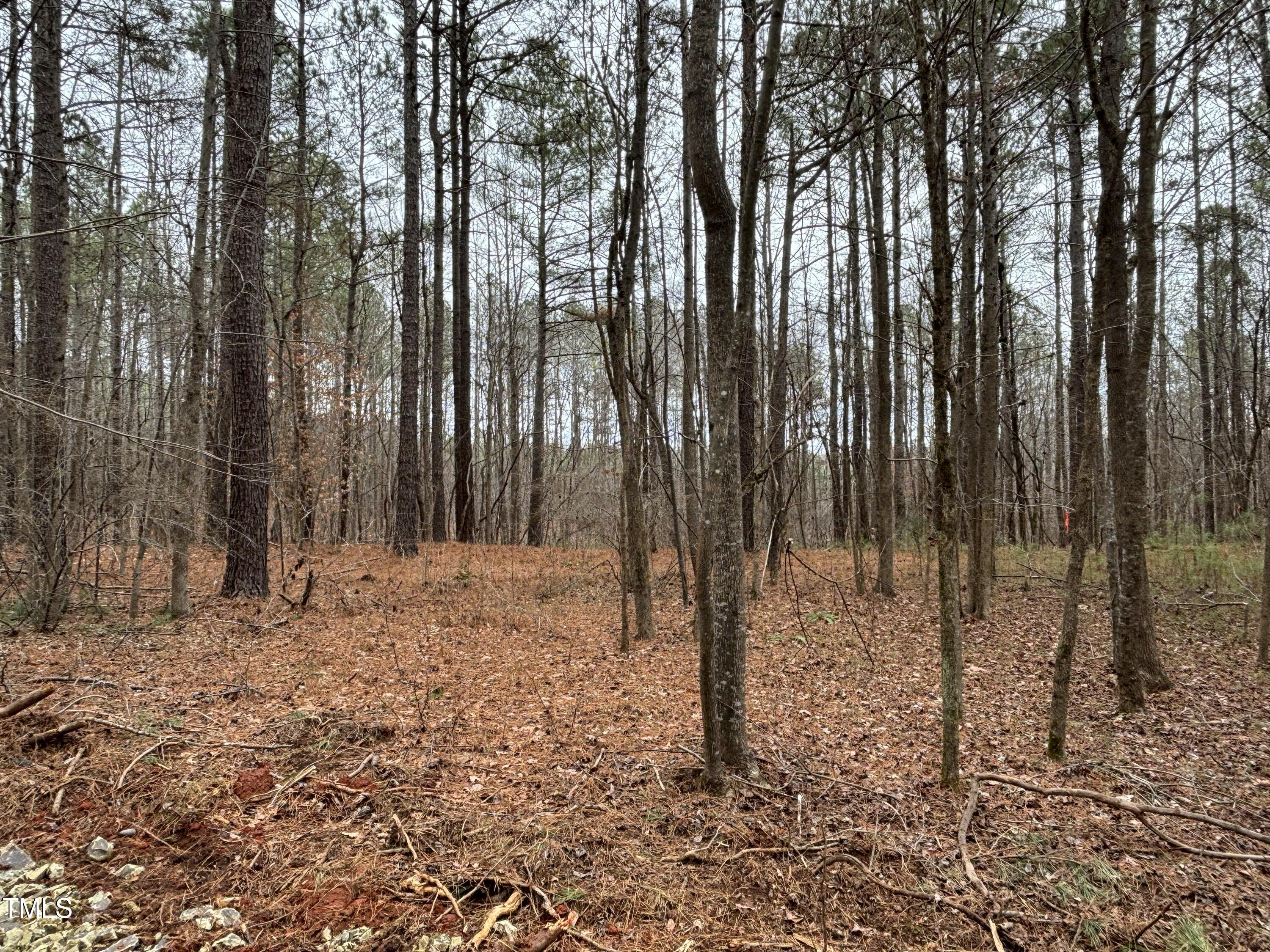 651 Mountain Creek Road