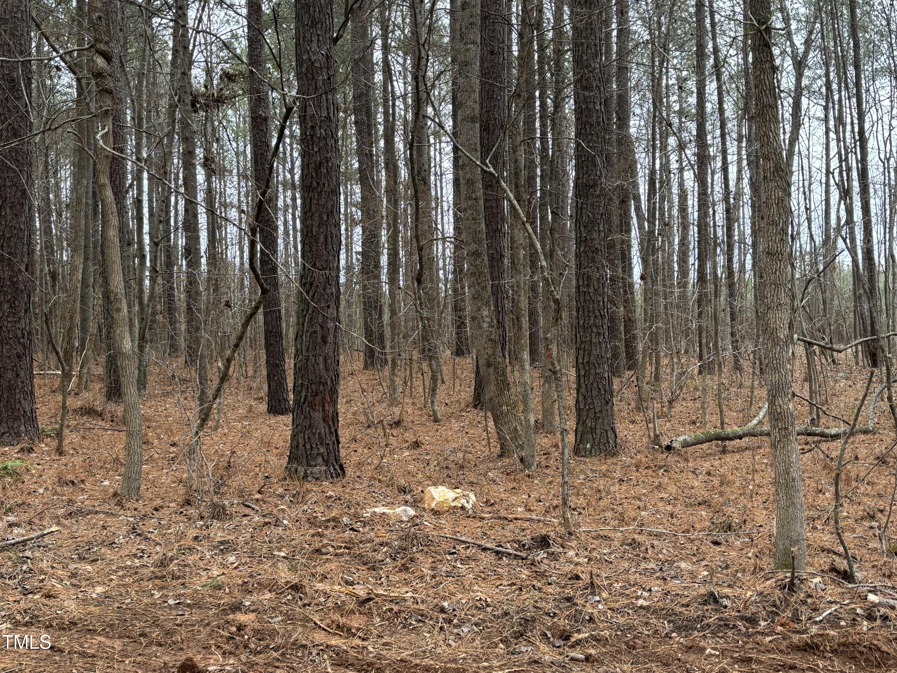 651 Mountain Creek Road