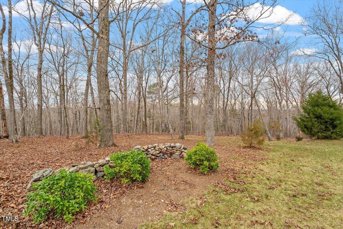 95 Blueberry Ridge