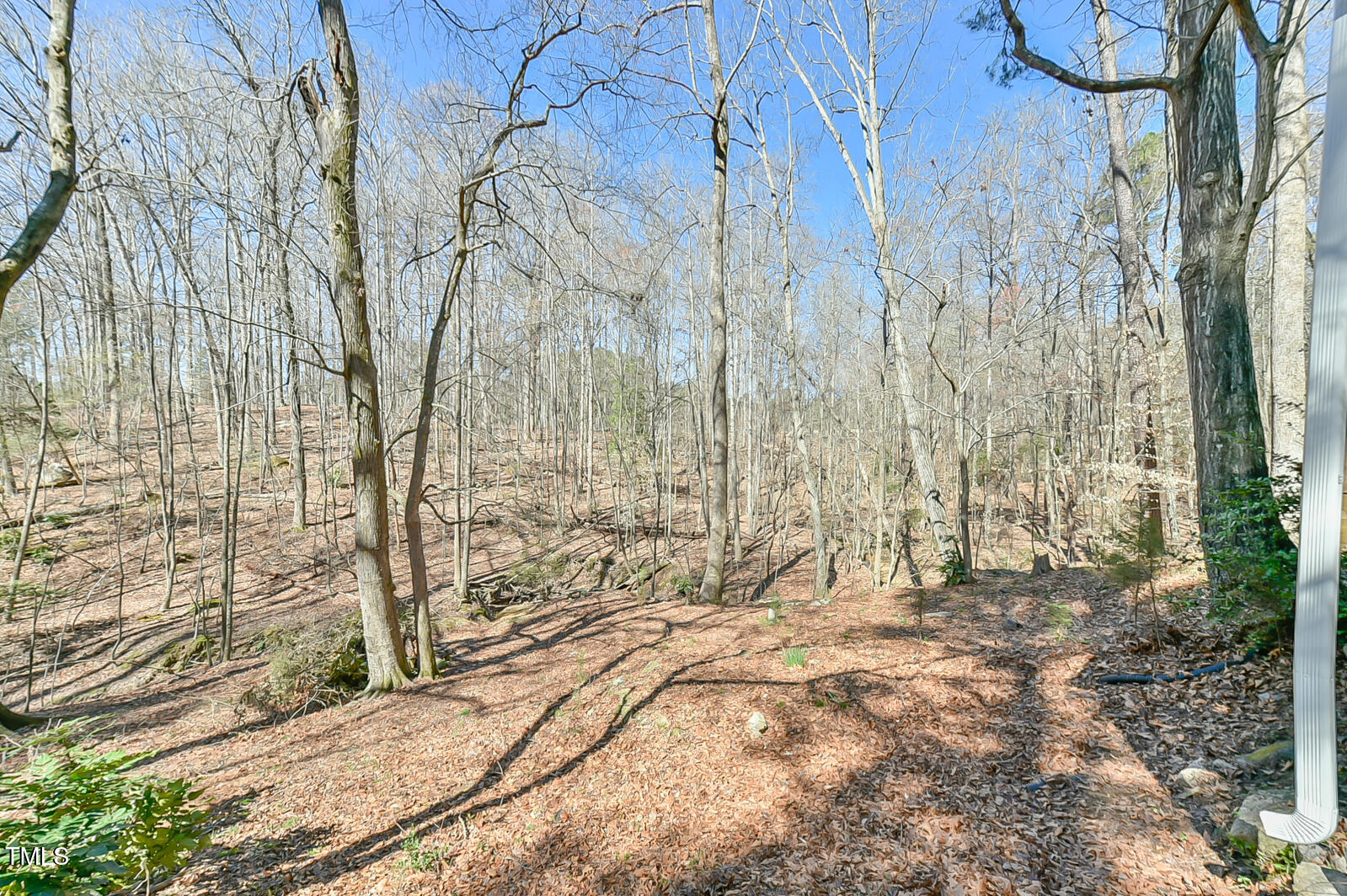 100 Briar Patch Lane