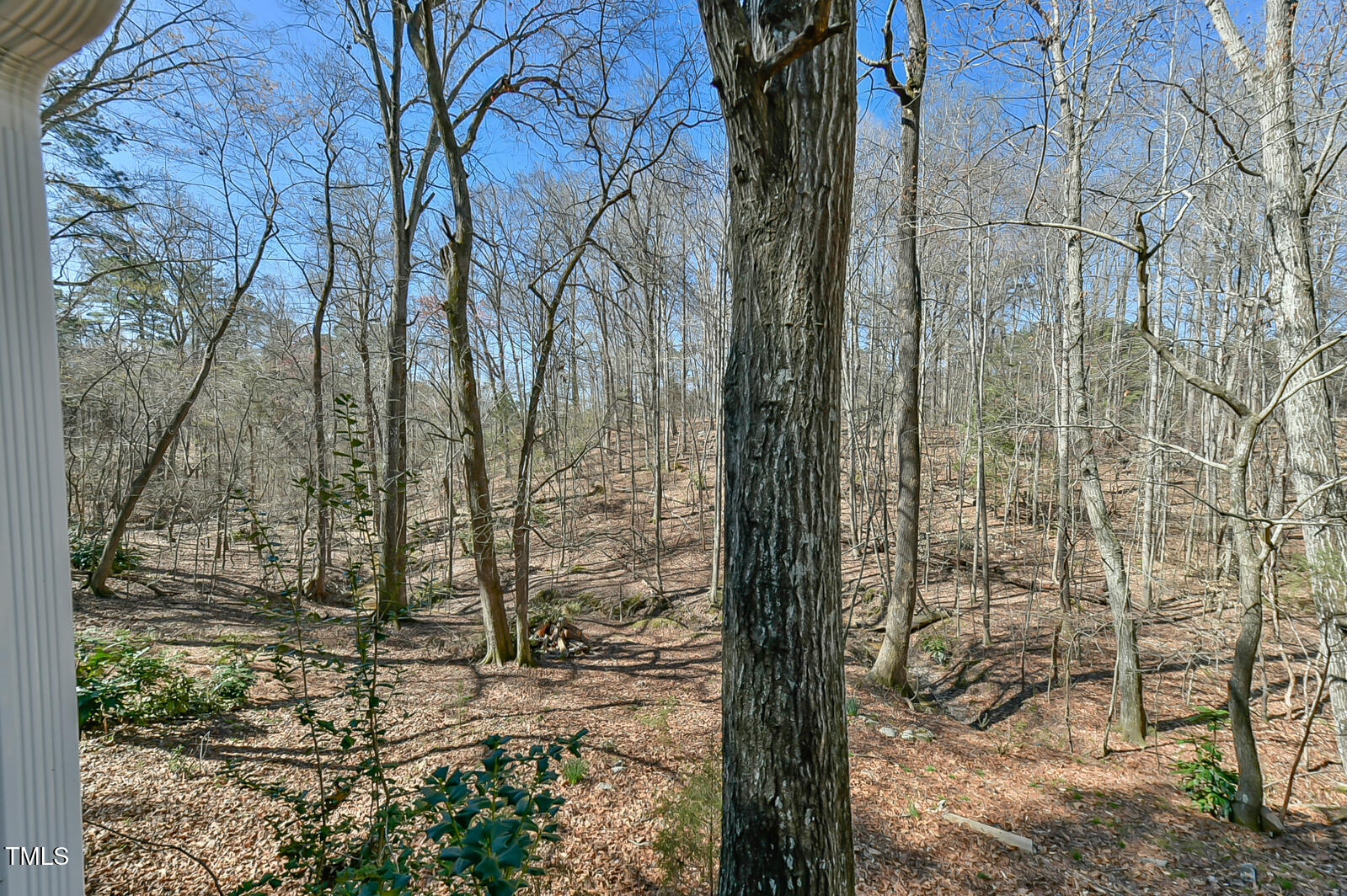 100 Briar Patch Lane