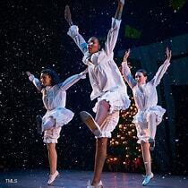 2023 Trident Maple Lane