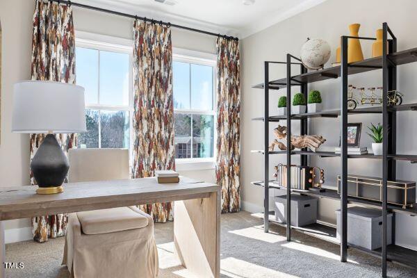 2023 Trident Maple Lane