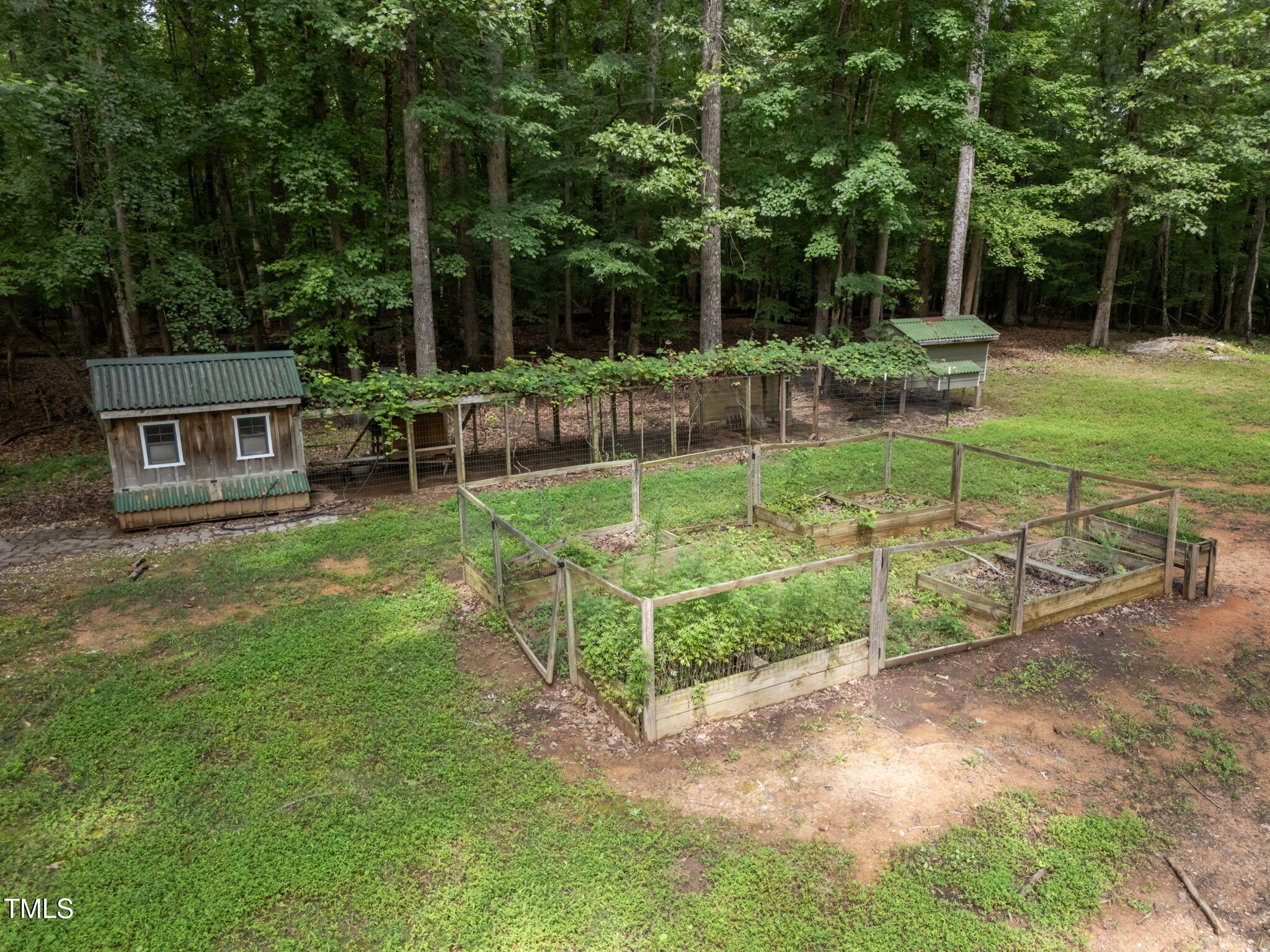 4116 Blue Mountain Road
