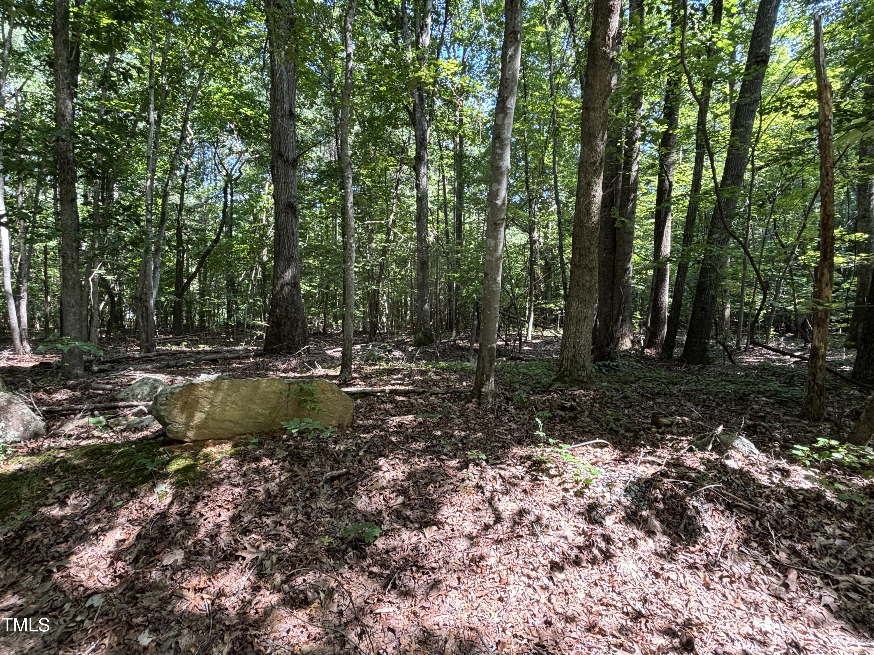 2424 Shadetree Road