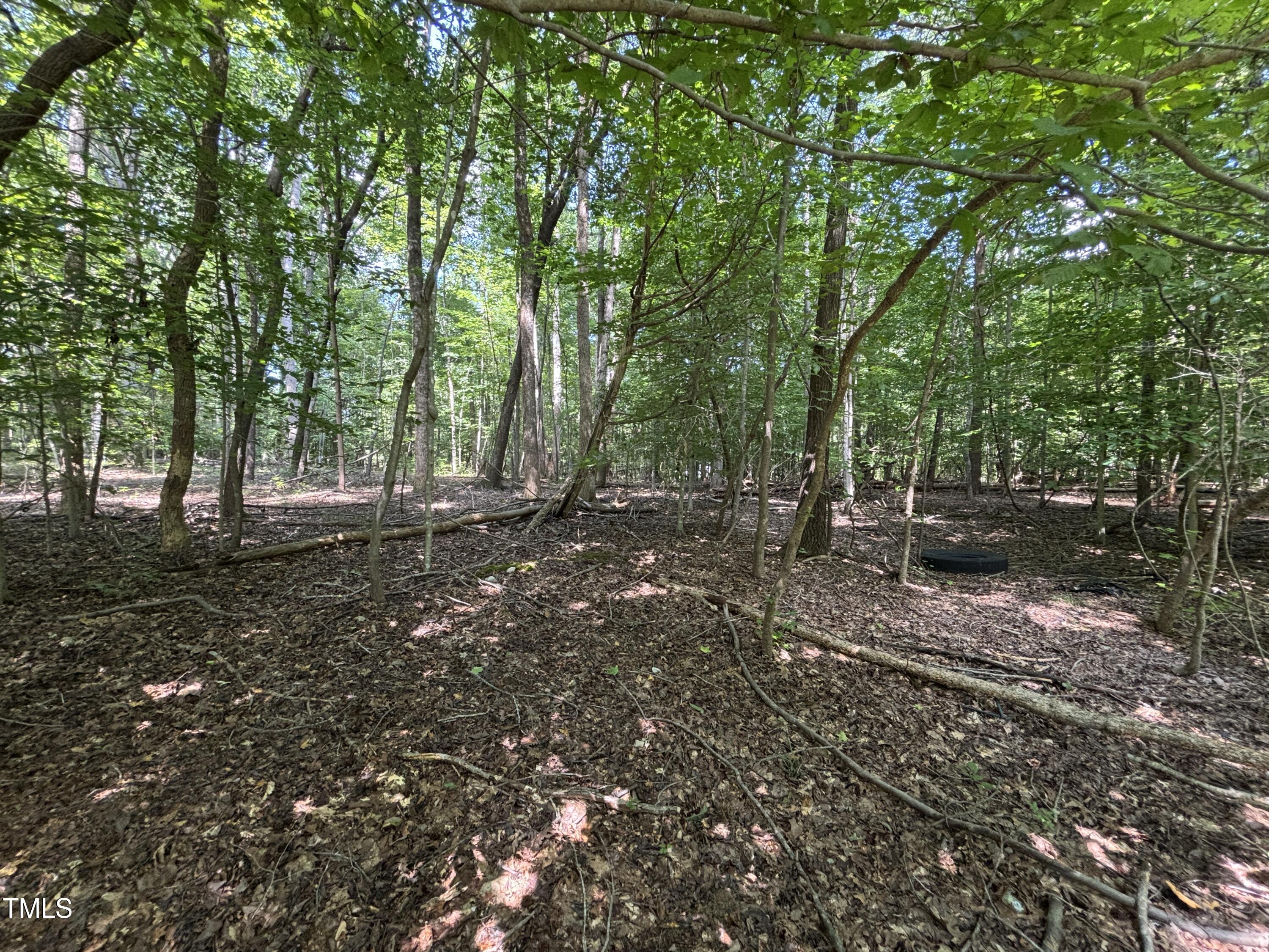 2424 Shadetree Road