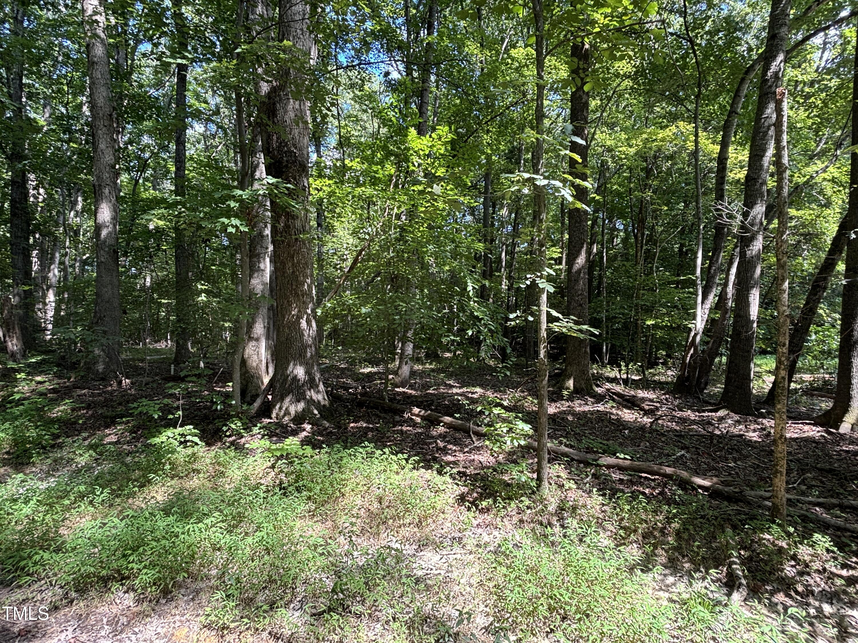 2424 Shadetree Road