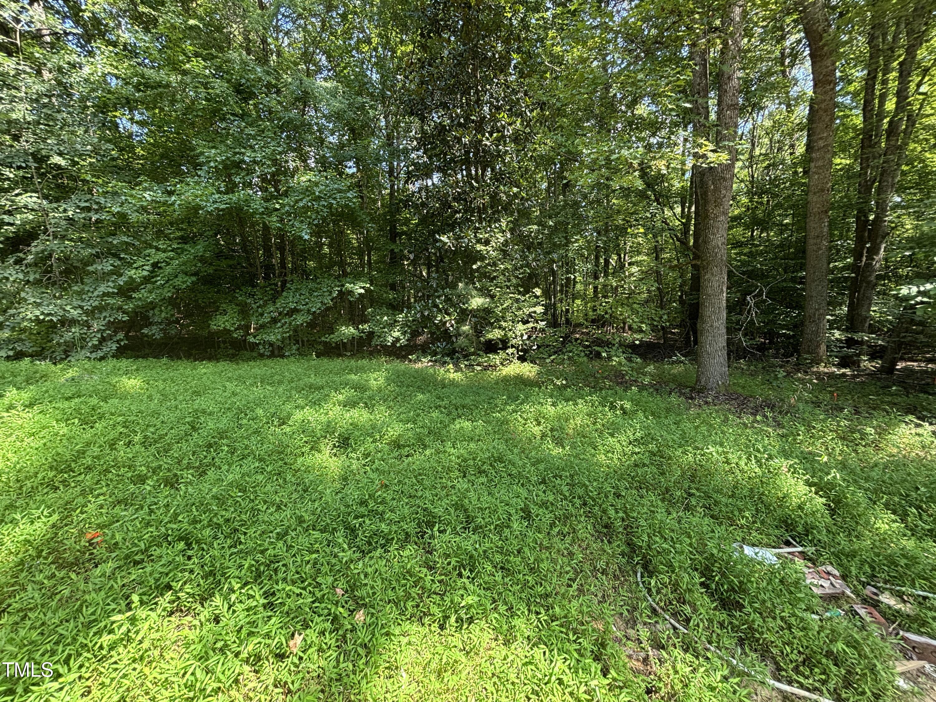 2424 Shadetree Road