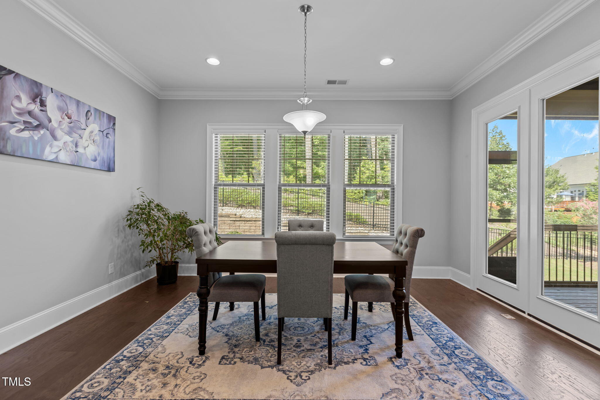 1017 Mountain Vista Lane