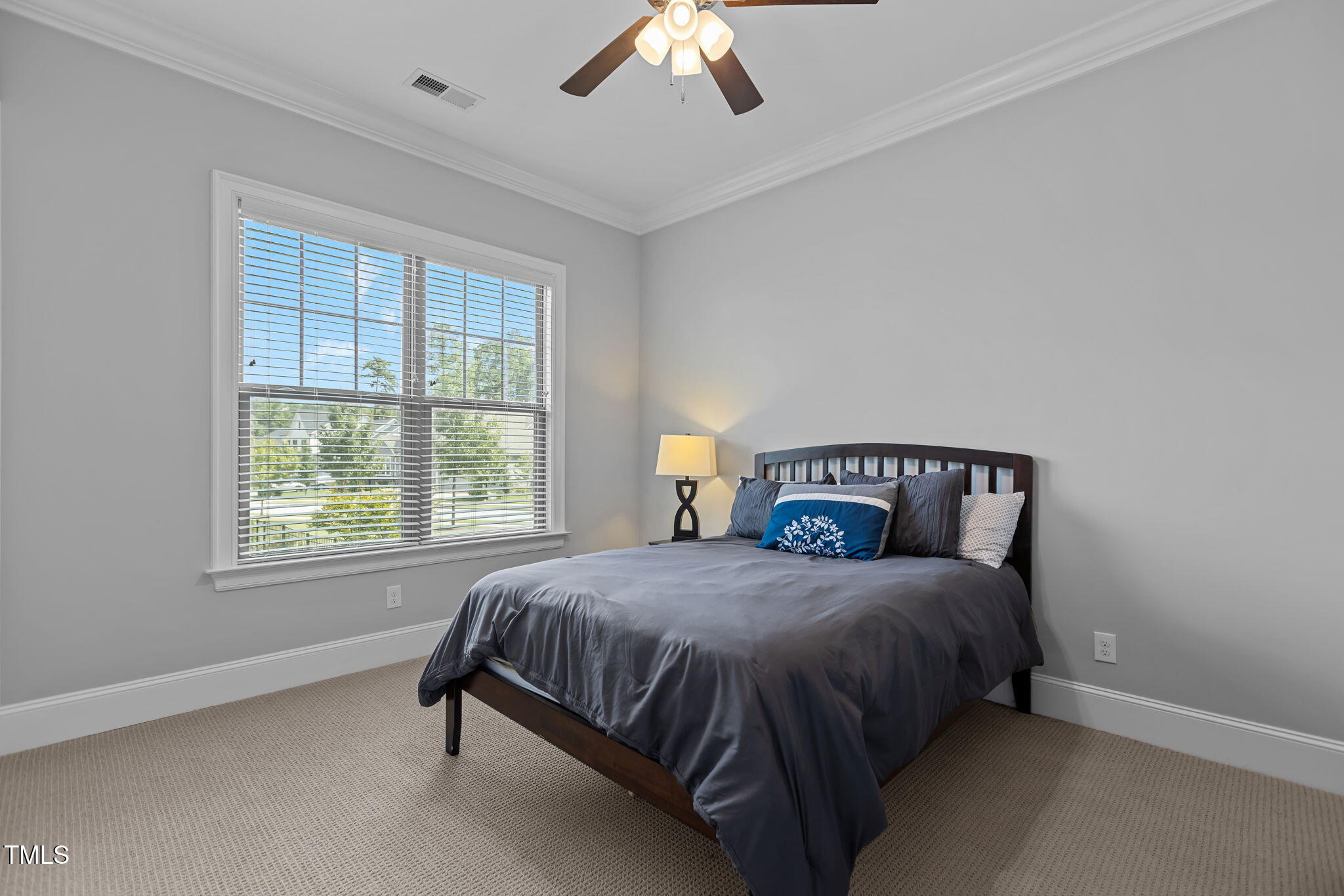 1017 Mountain Vista Lane