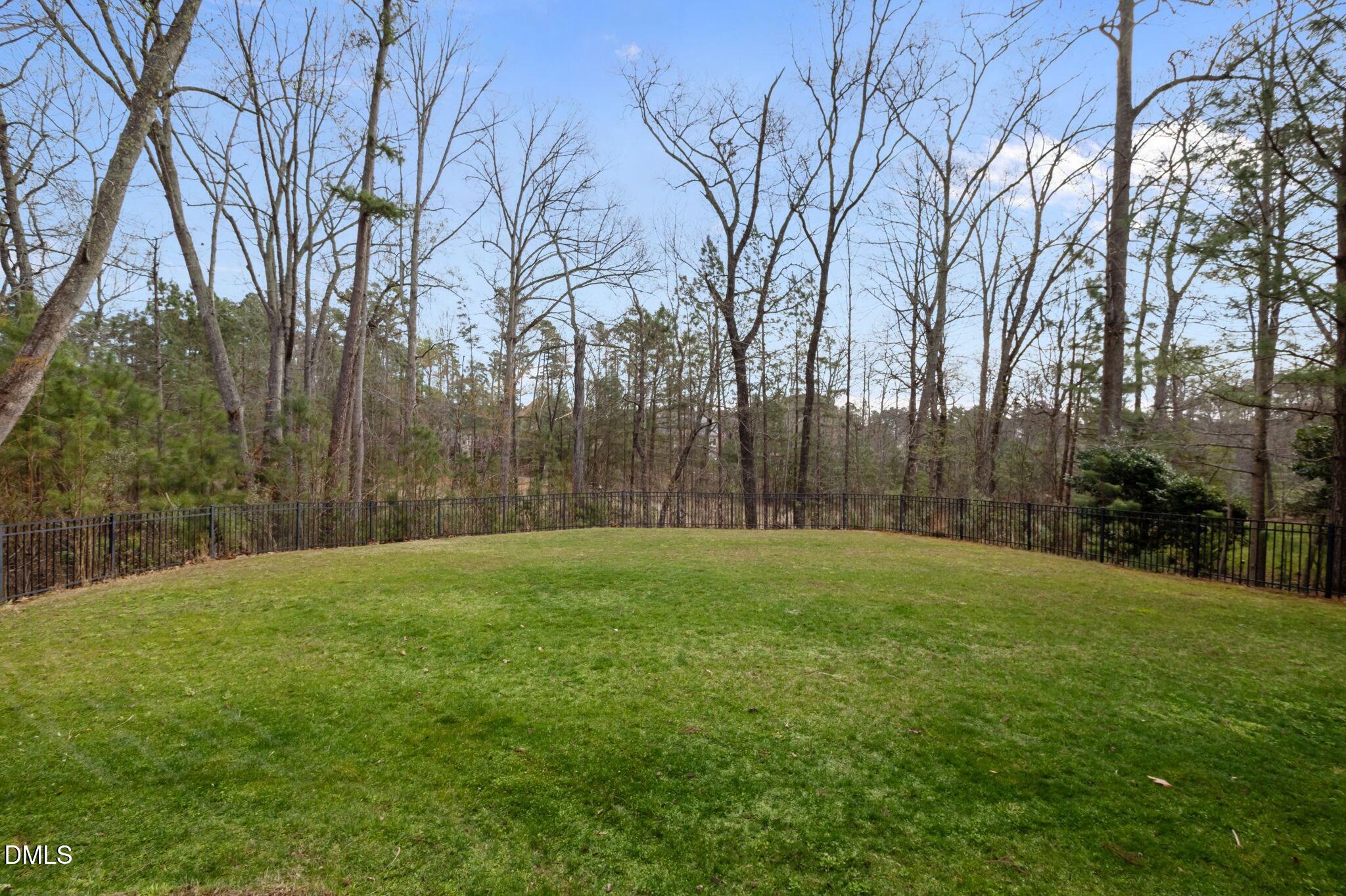 564 Mountain Laurel