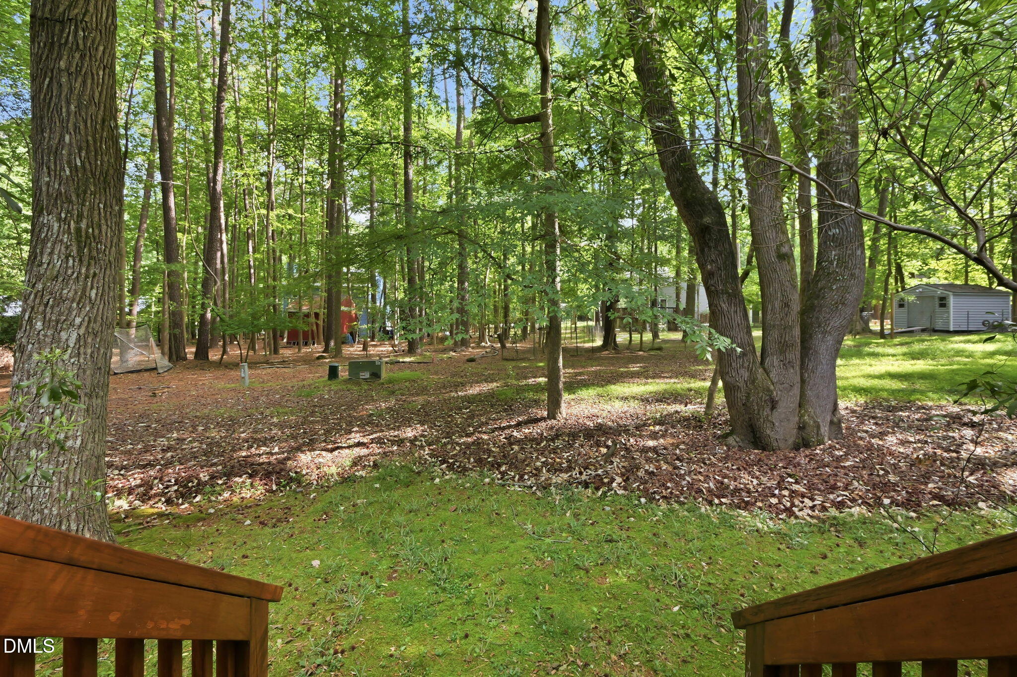 404 Forest Court