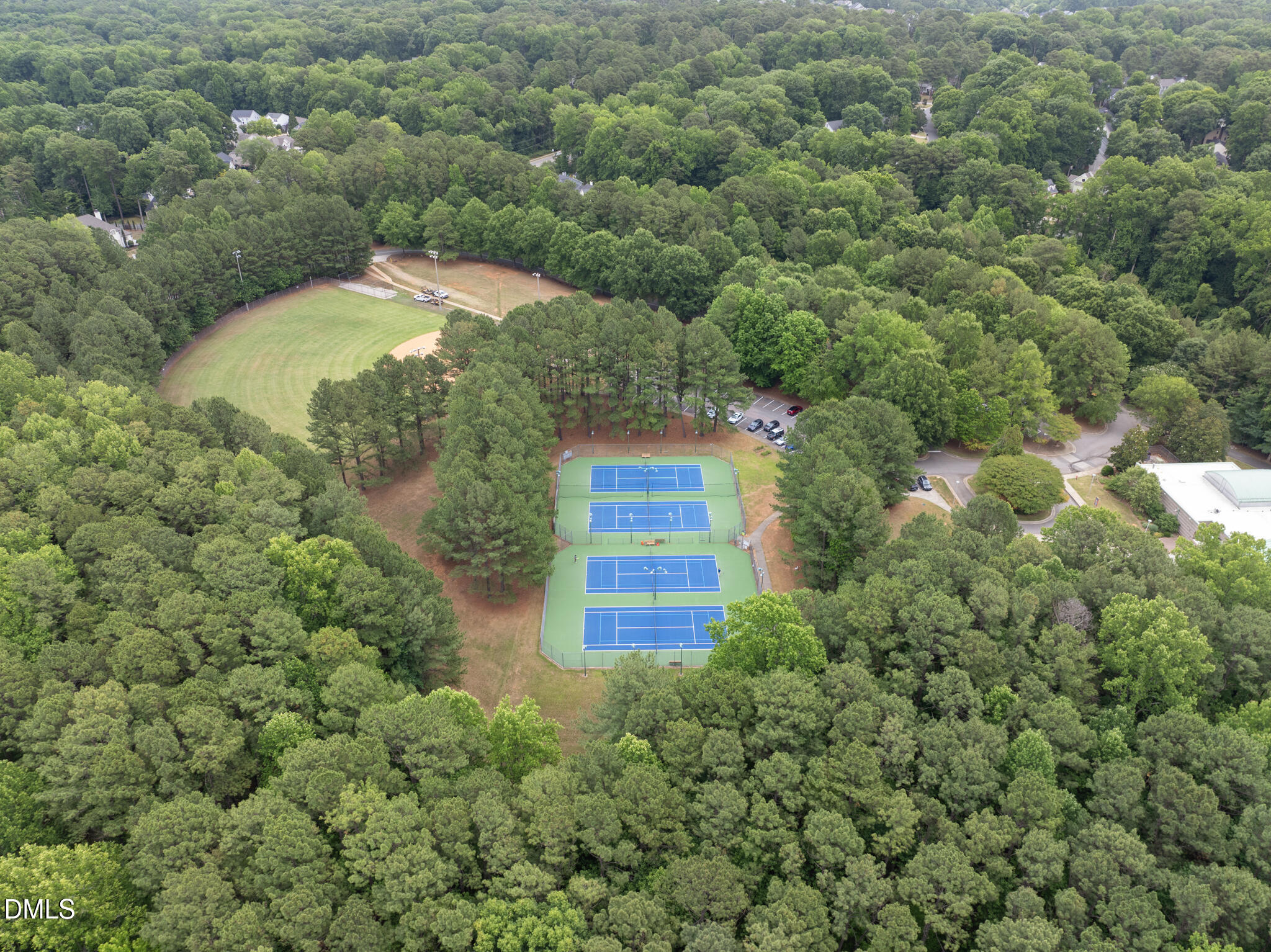 3801 Hidden Branches Drive