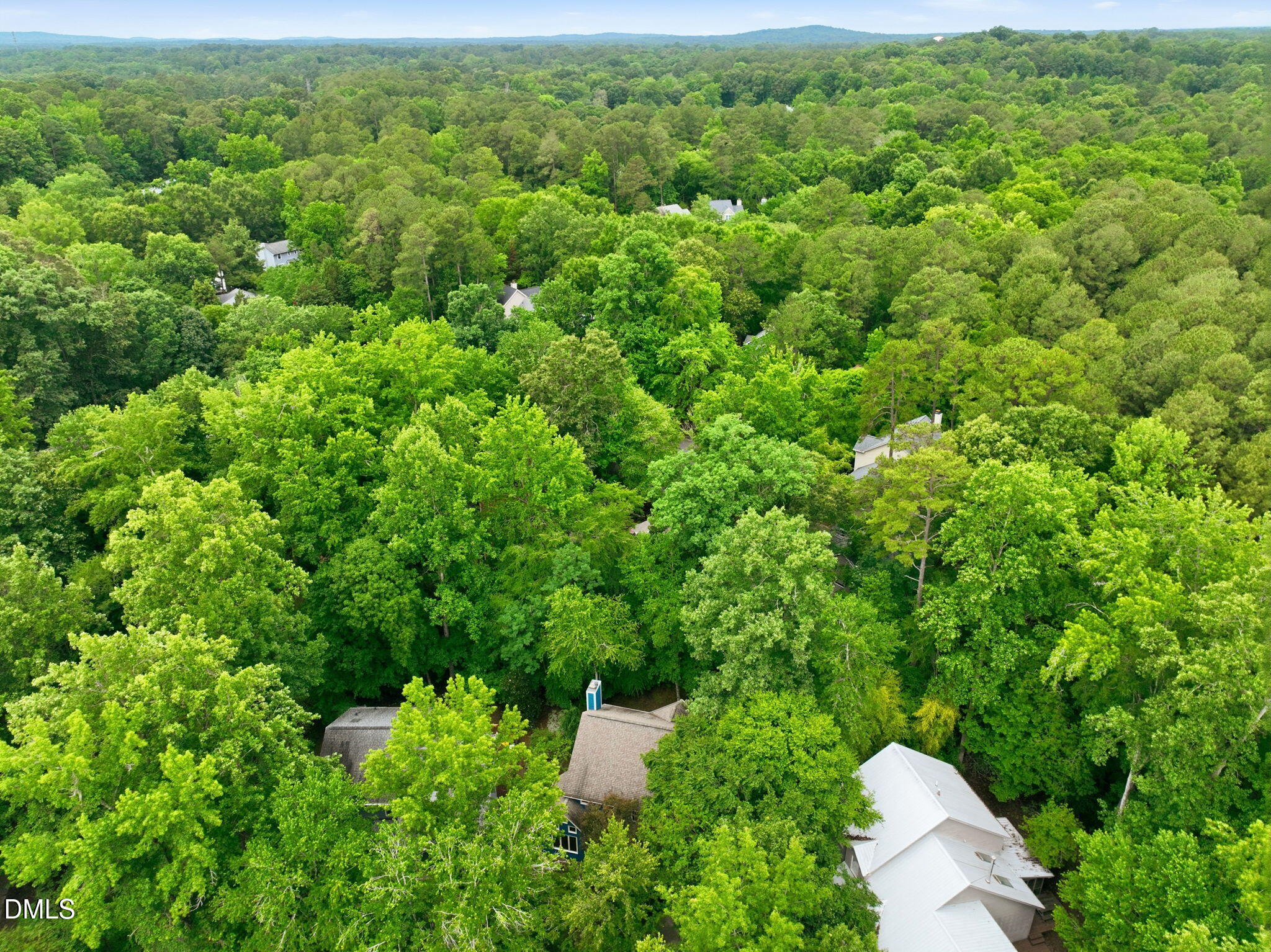 121 Waverly Forest Lane