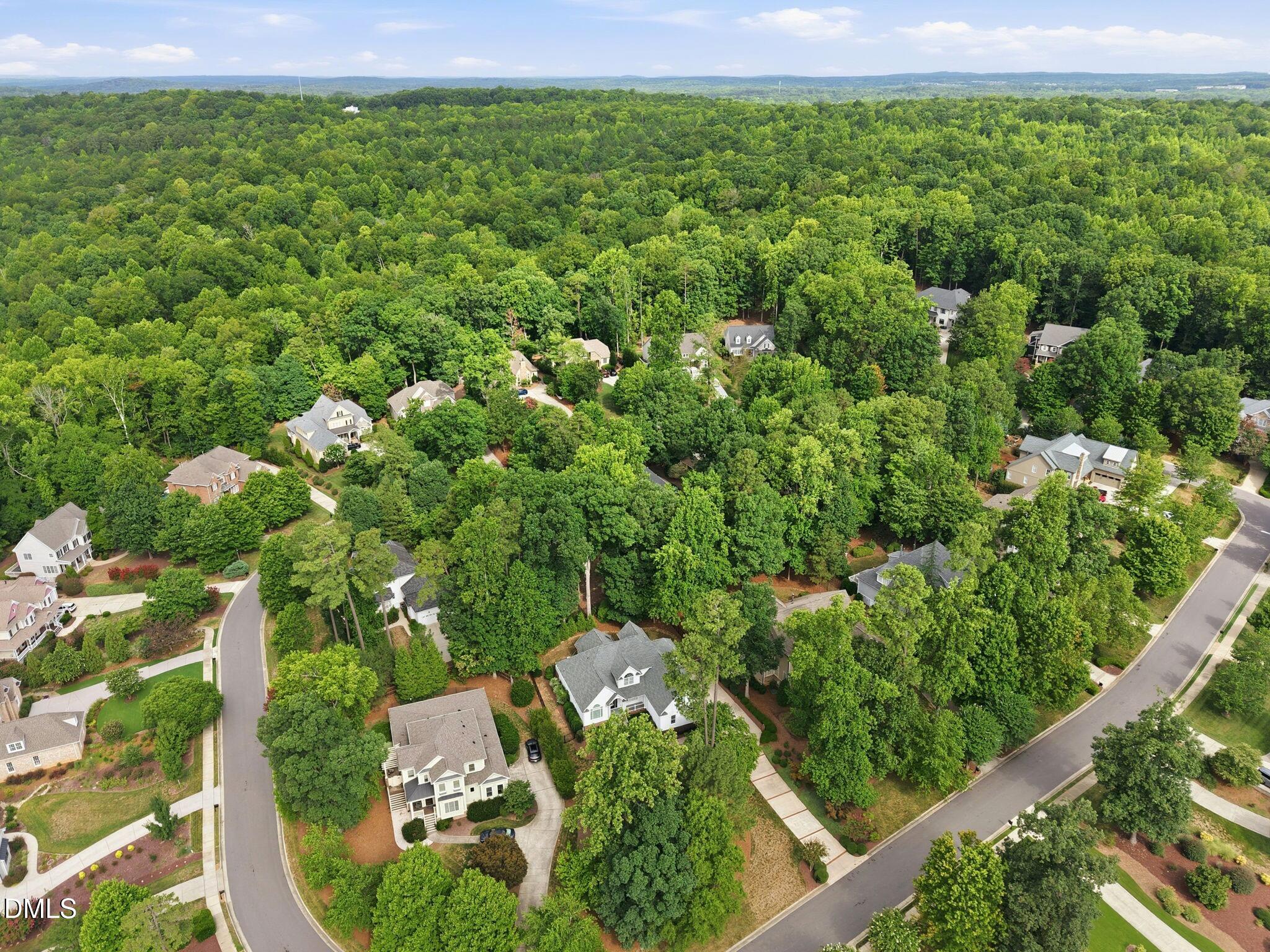 535 Mountain Laurel