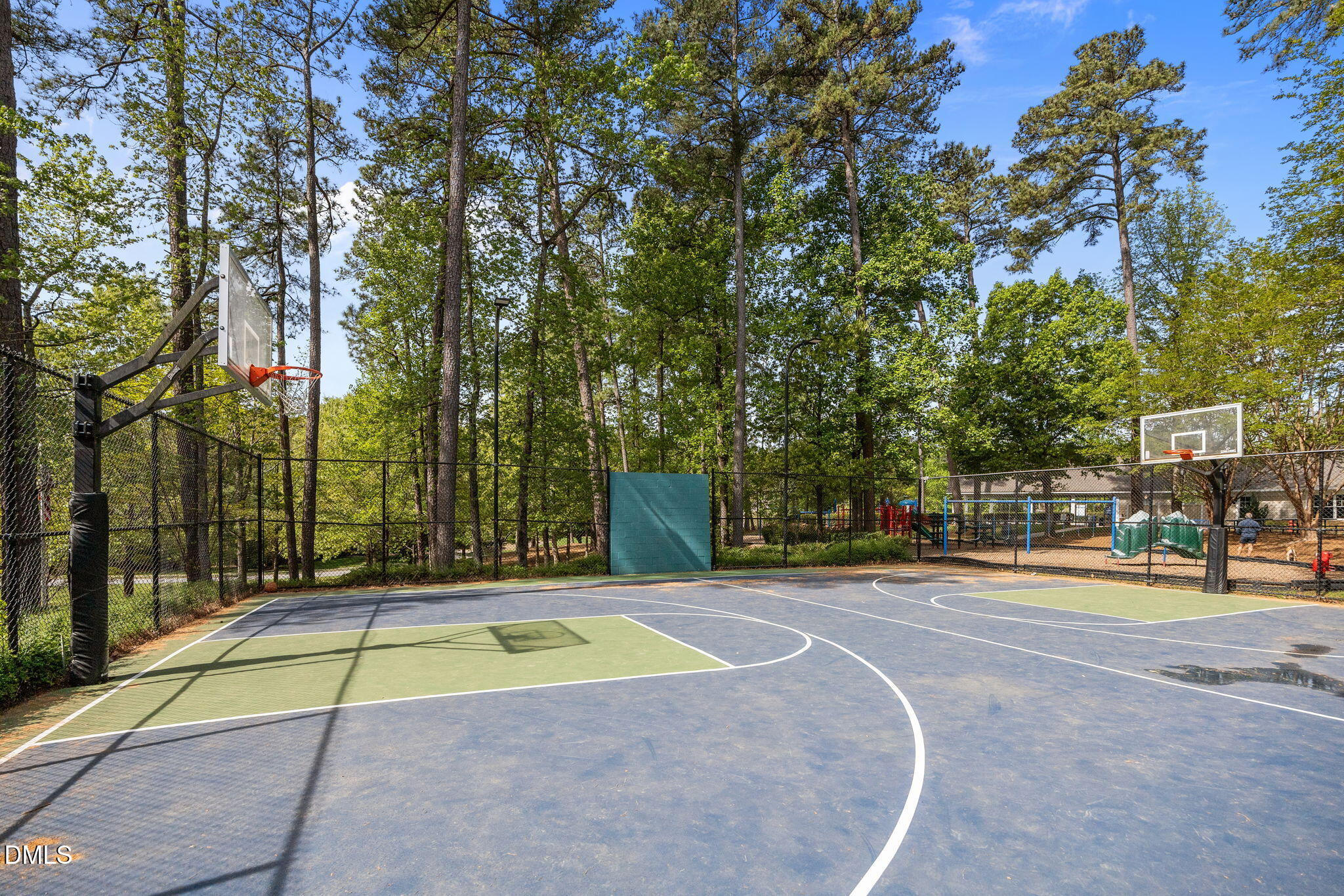 535 Mountain Laurel