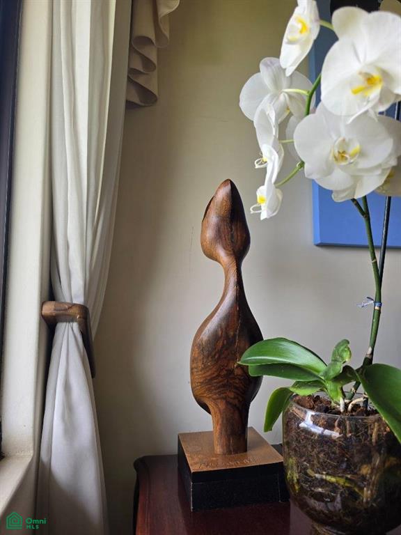 , San Rafael, San Jose