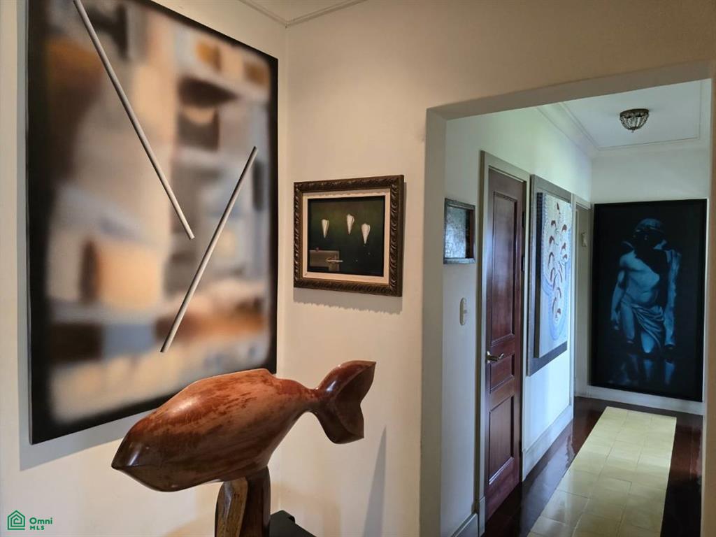 , San Rafael, San Jose