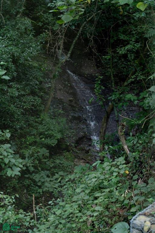 , Colón, Mora, San Jose