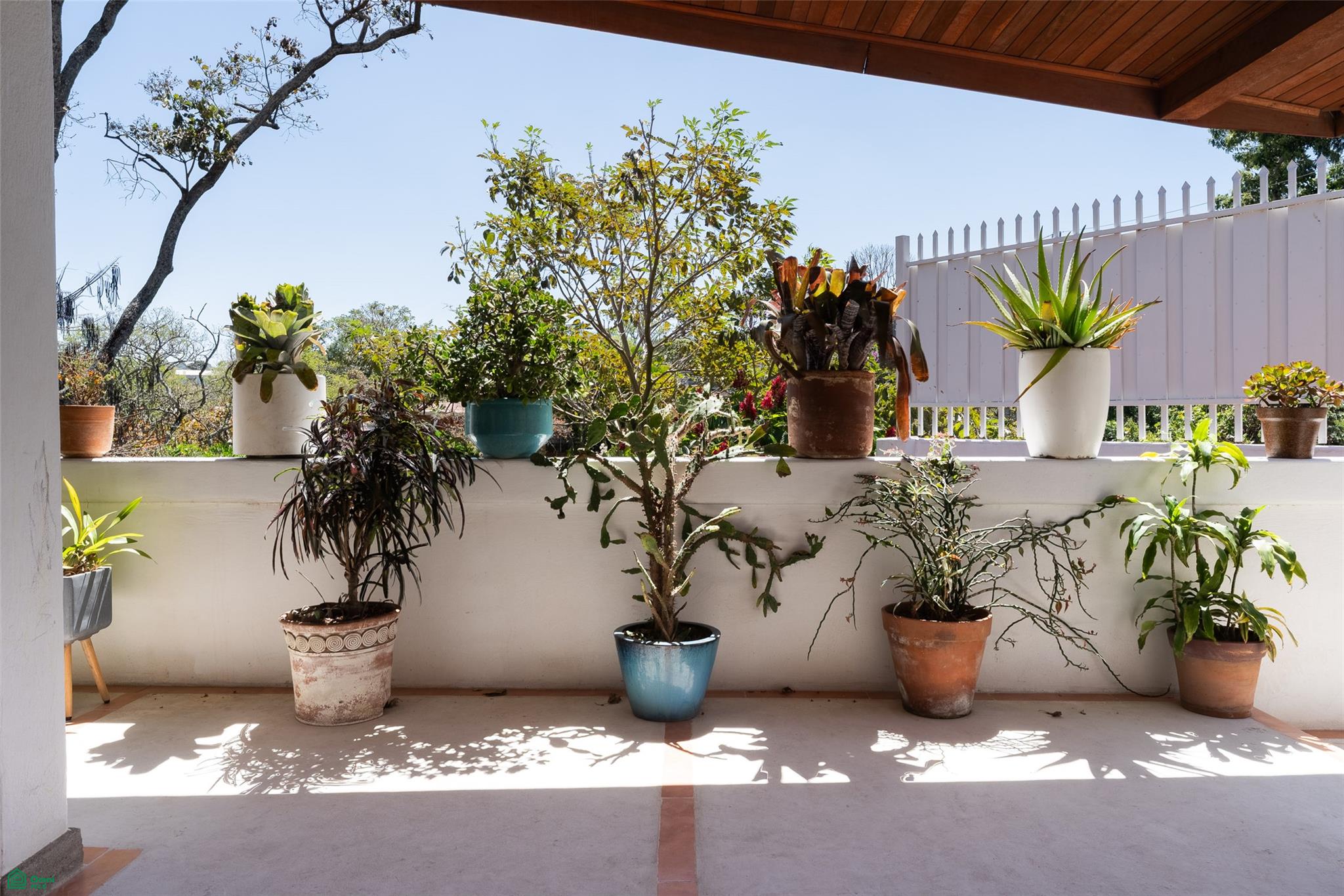 Vista de Oro