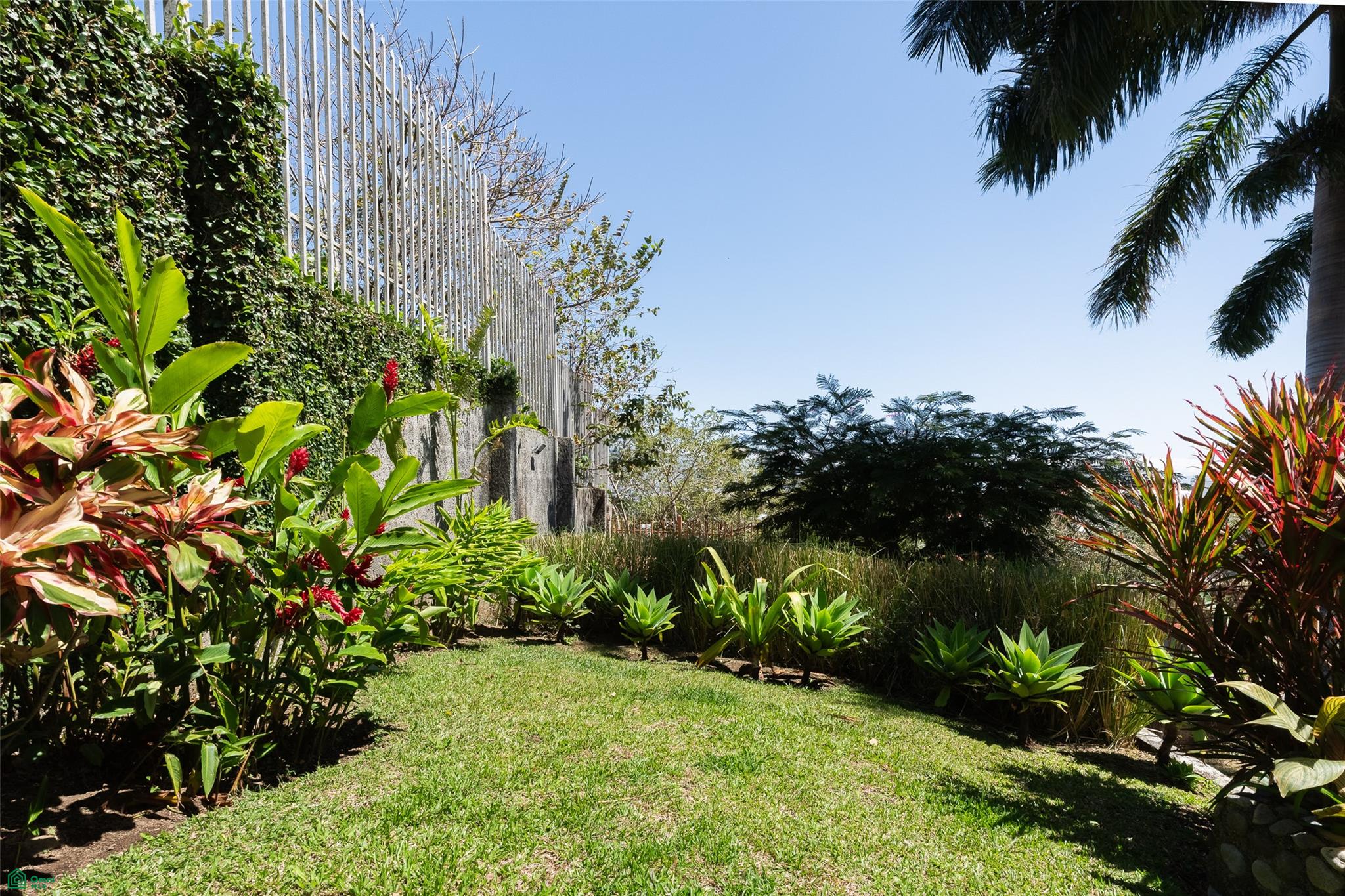 Vista de Oro