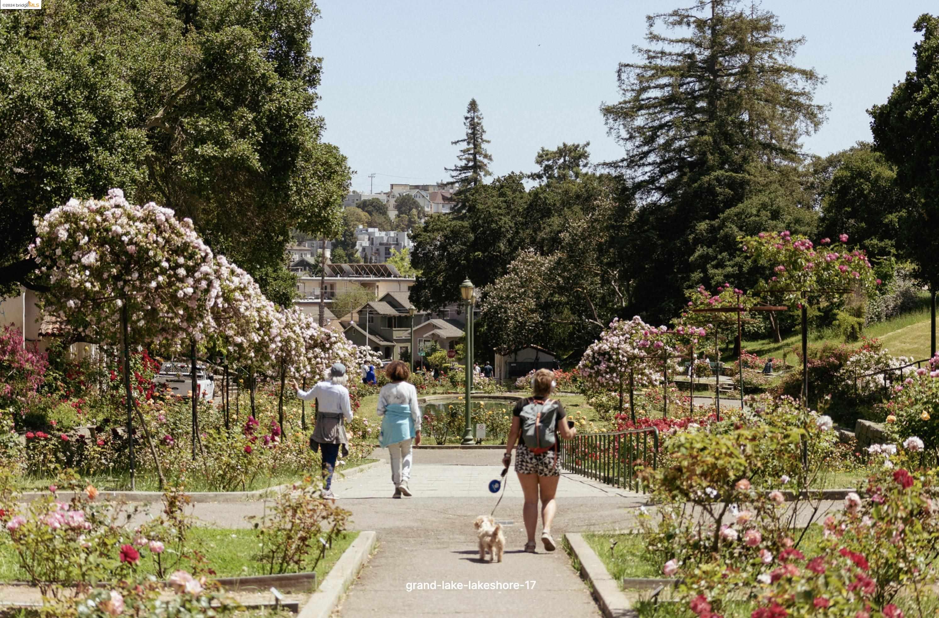 339 Santa Clara Avenue