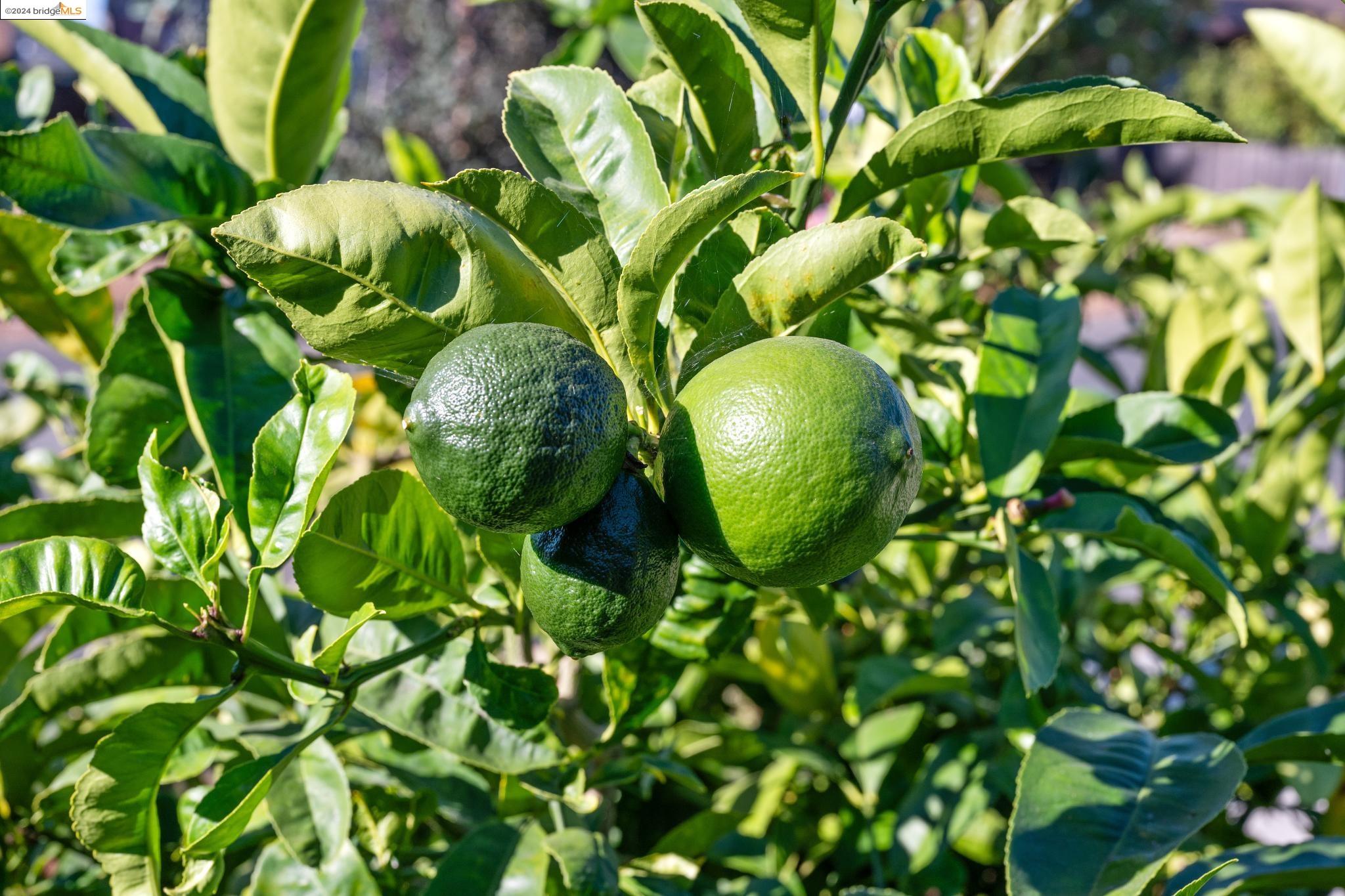 2620 San Mateo Street