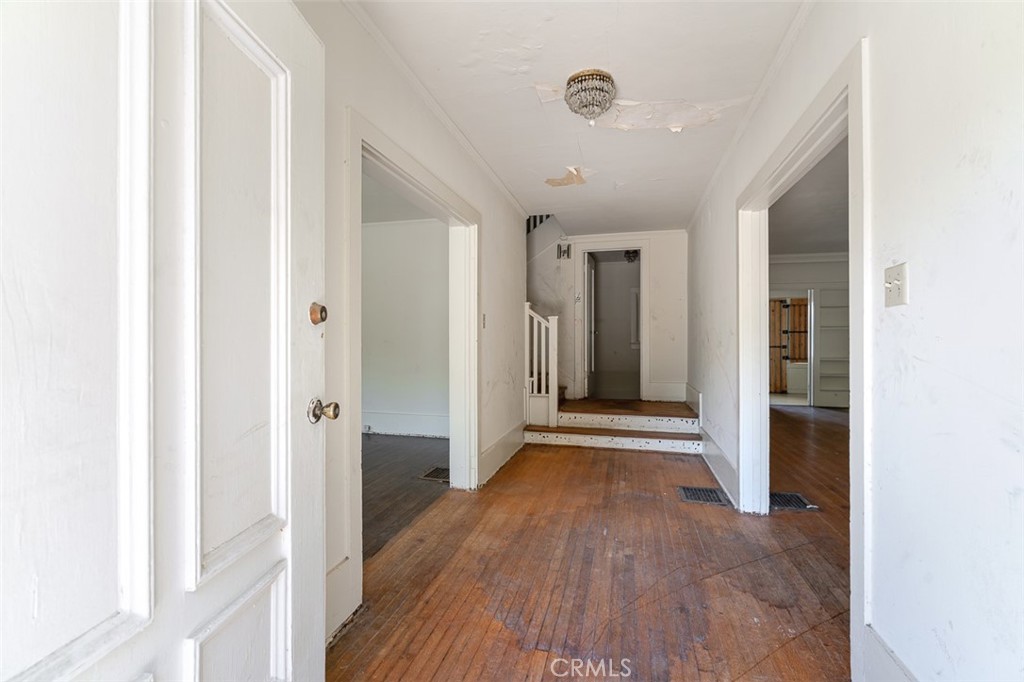269 Palmetto Drive