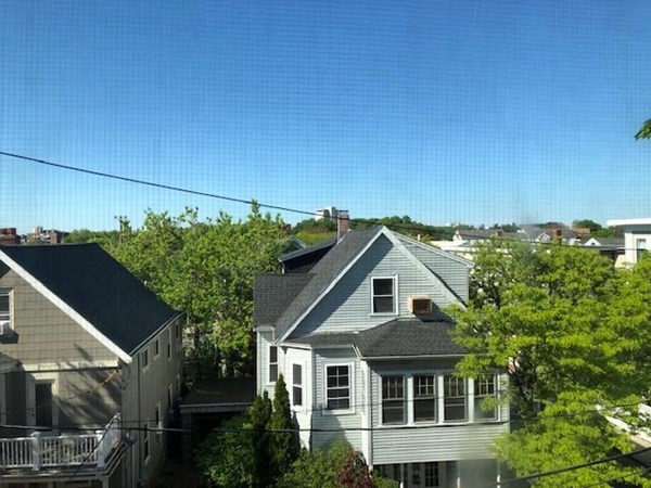 19 Cypress Street # 1