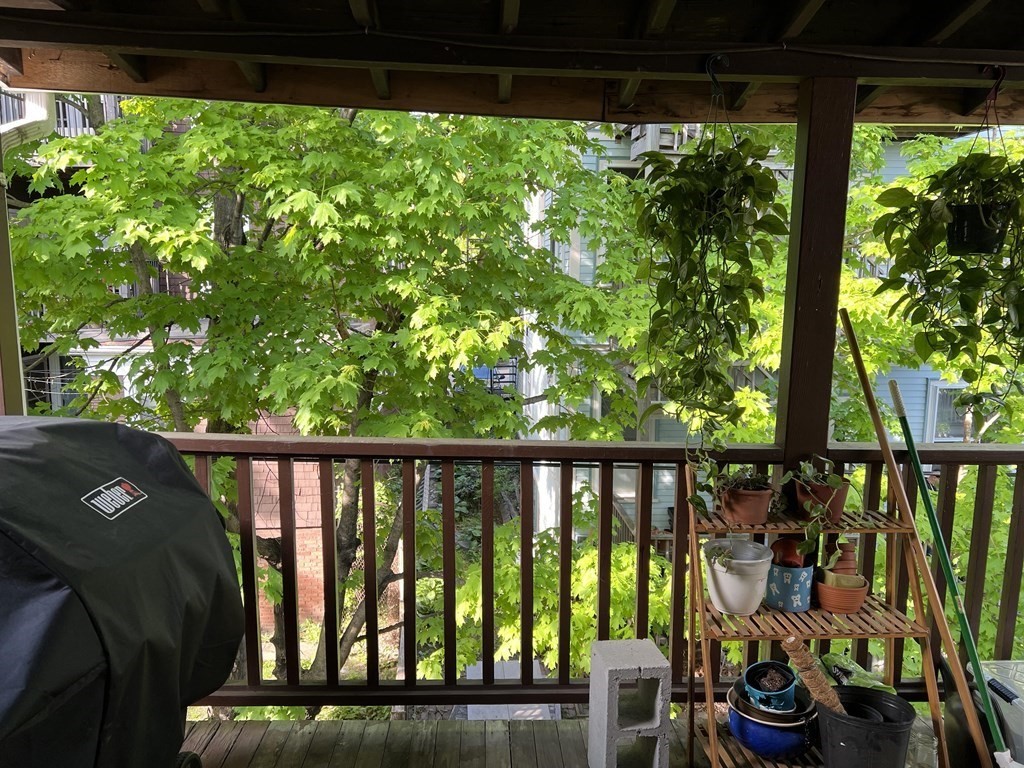 207 Summer Street # 3