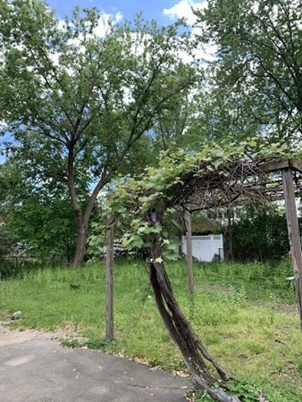 37 Grant Avenue # 1