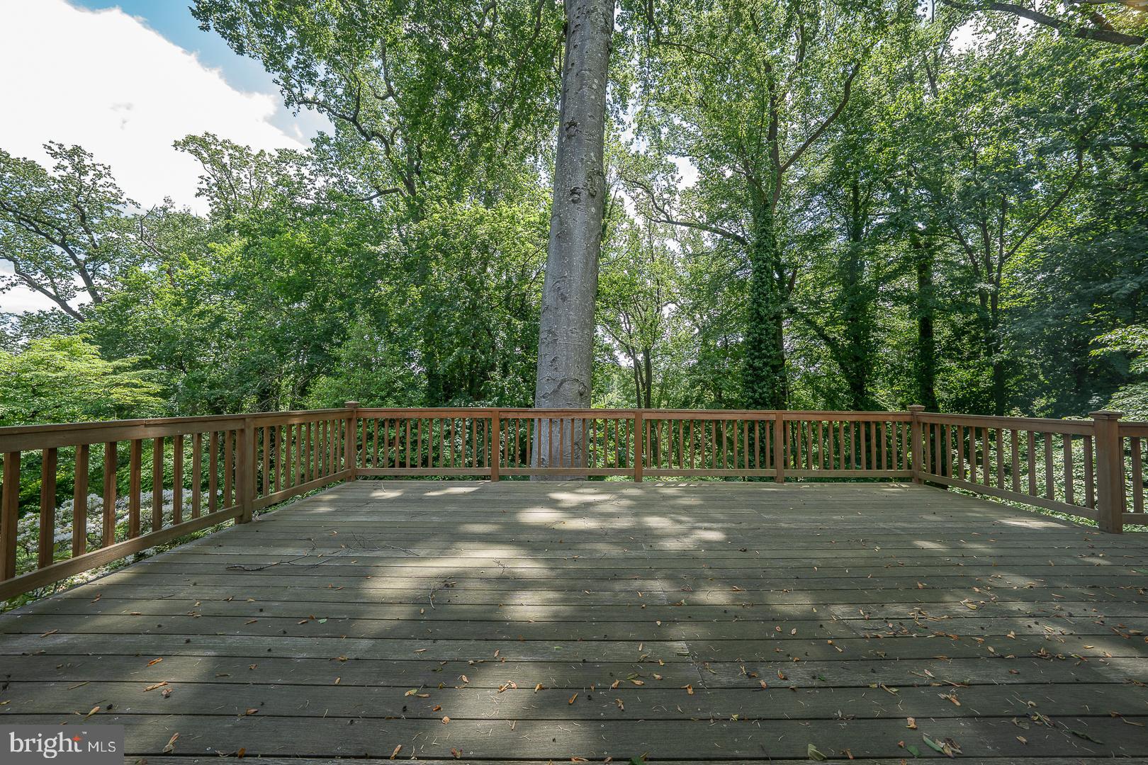 1109 BRYNLAWN ROAD