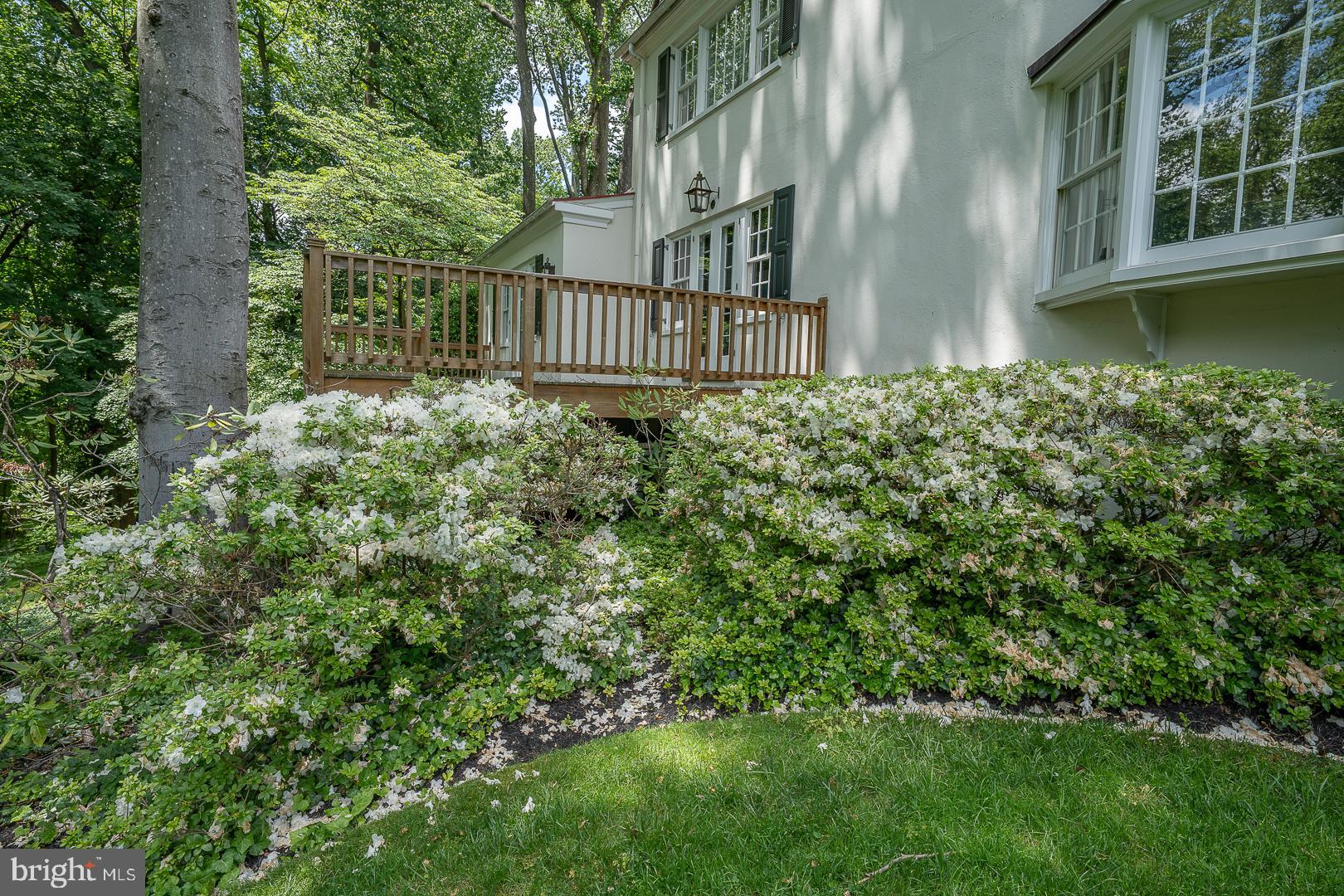 1109 BRYNLAWN ROAD