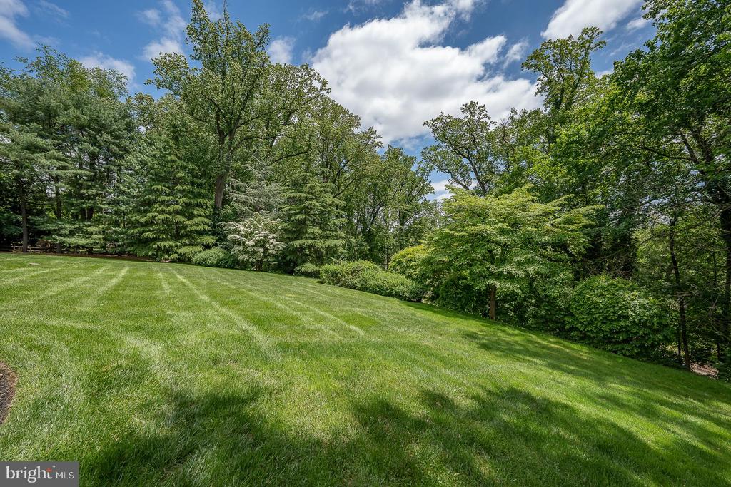 1109 BRYNLAWN ROAD