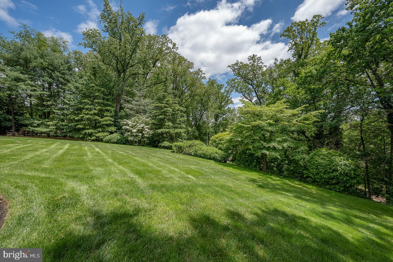 1109 BRYNLAWN ROAD