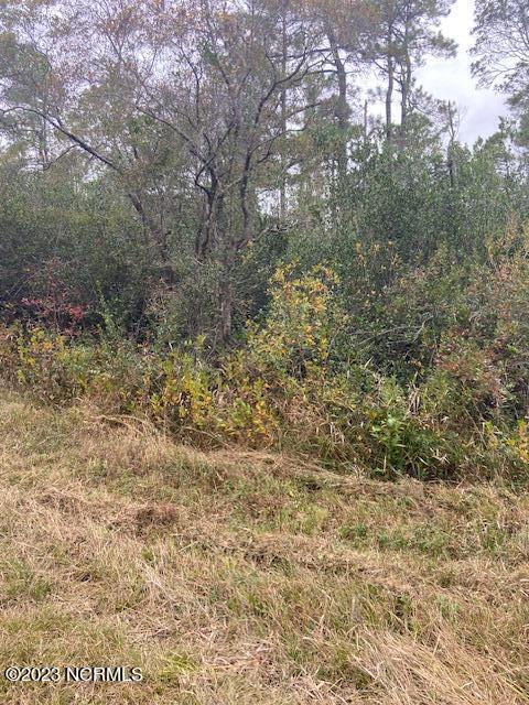 310 310 Bobolink Road