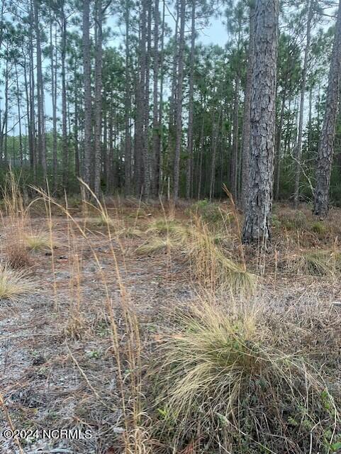 Lot 45-47 45,46,47 Juniper Road