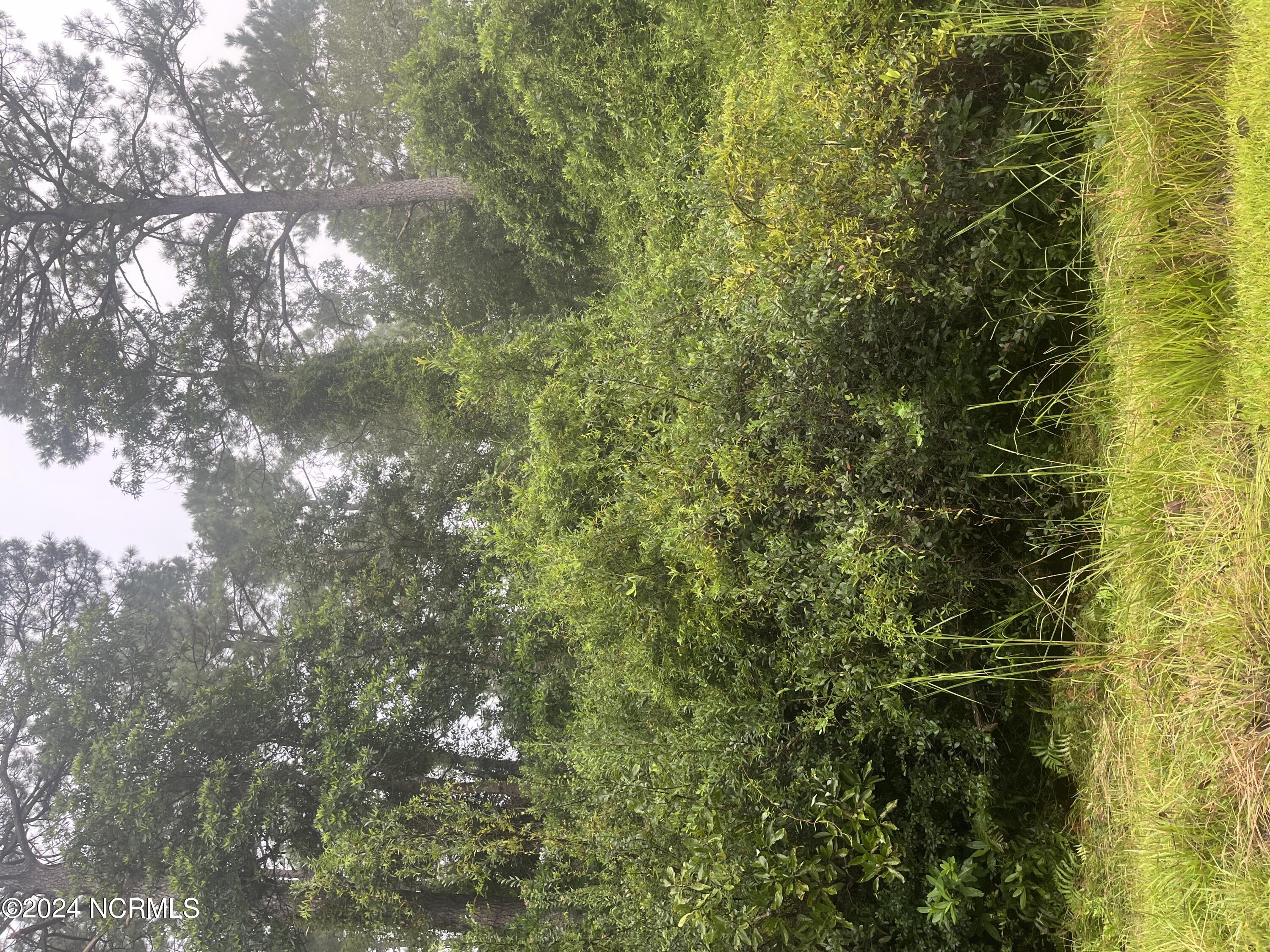 51 51-52 Bluebird Road