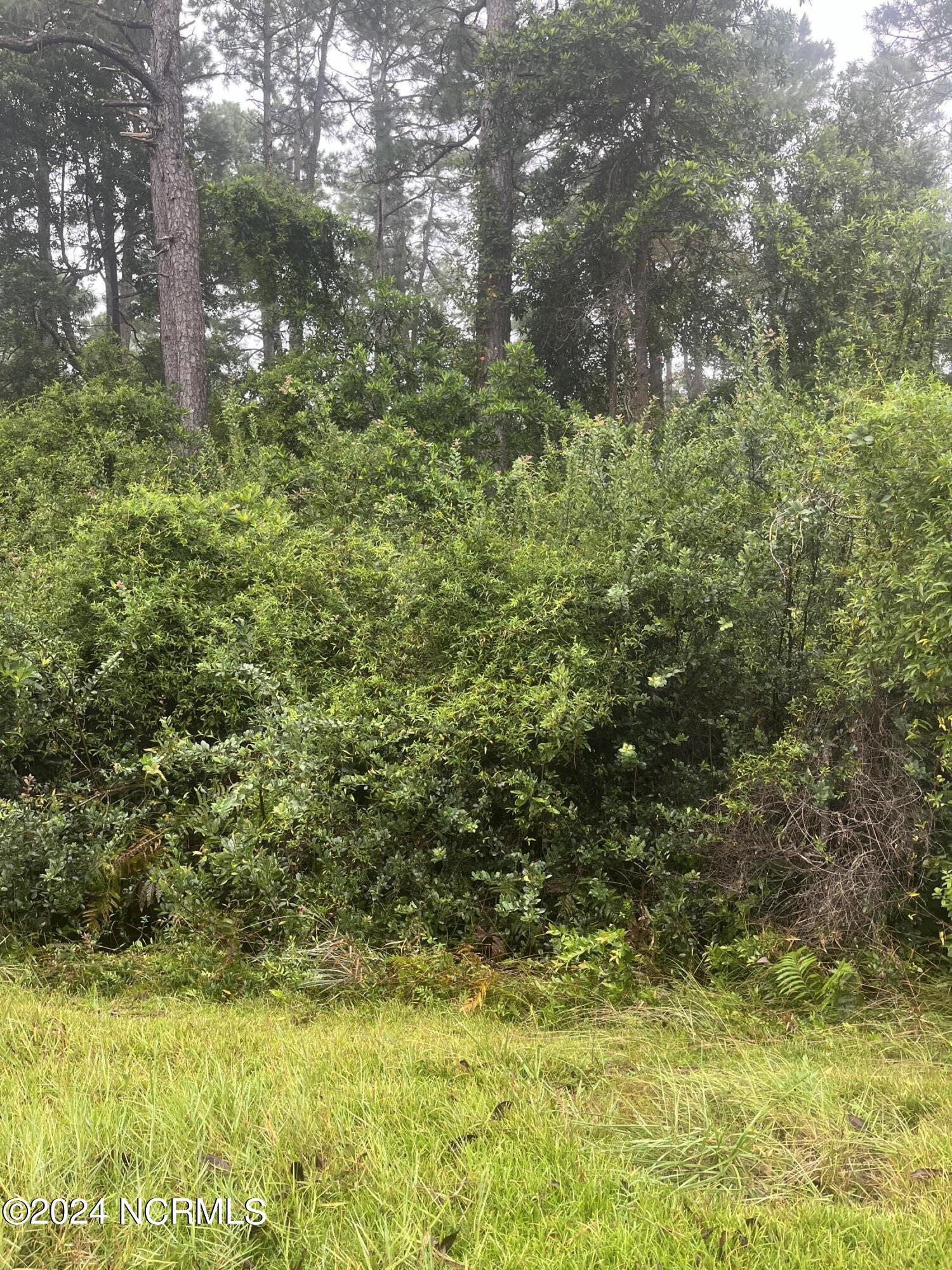 51 51-52 Bluebird Road