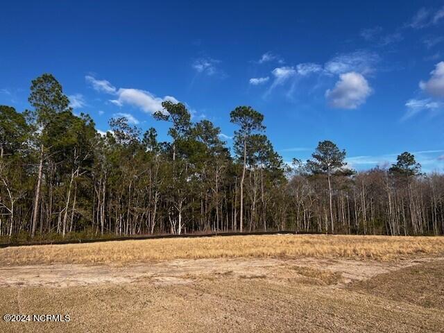 4060 Cypress Forest Way SE, Lot 13 Unit: Lot  13