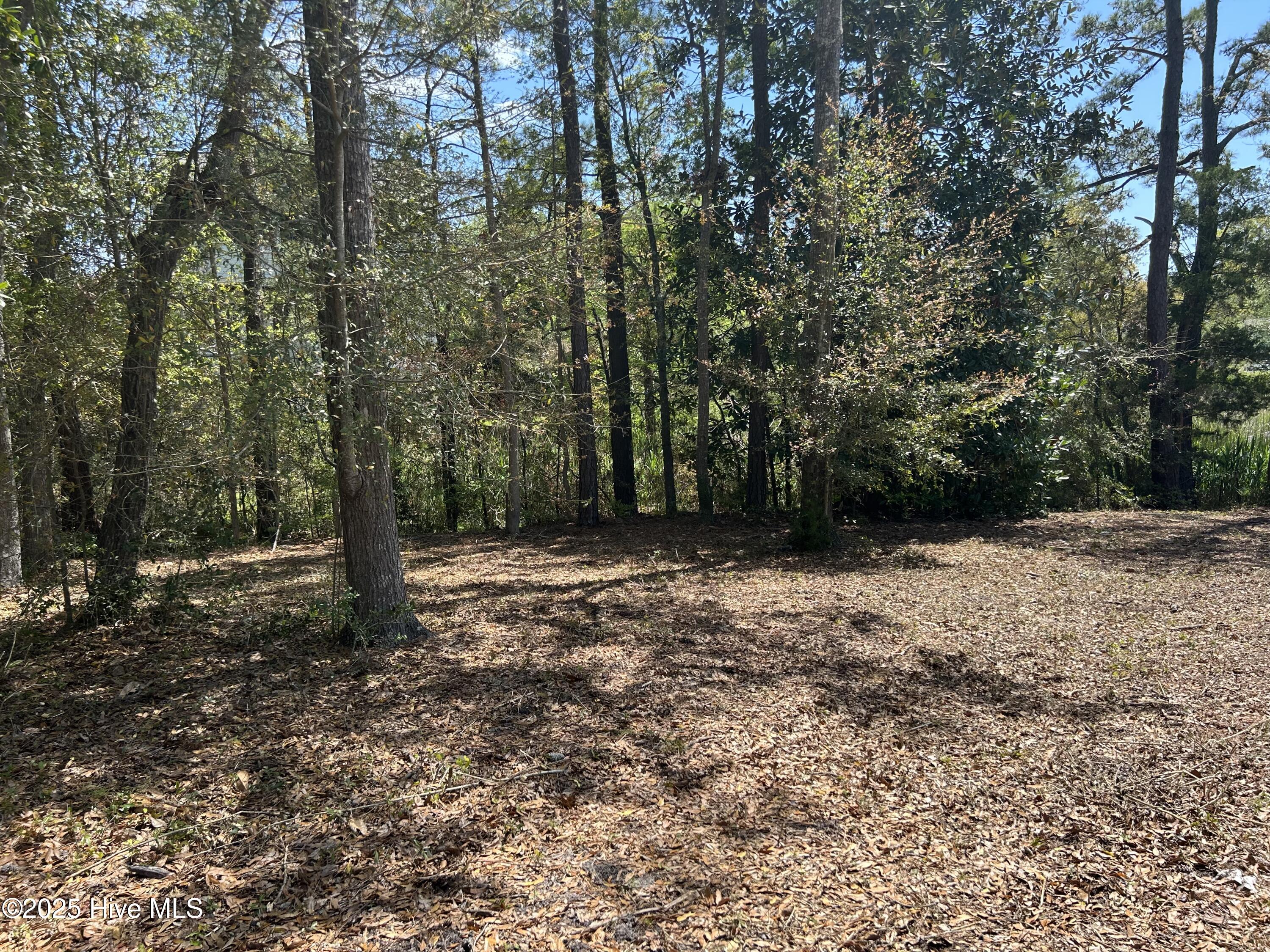 201 1 Willis Drive