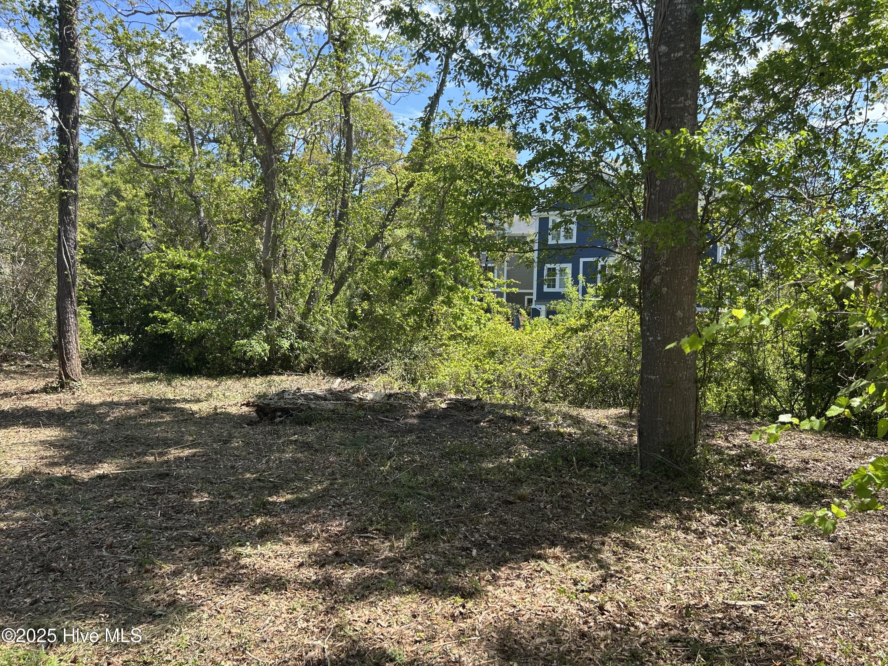 201 1 Willis Drive